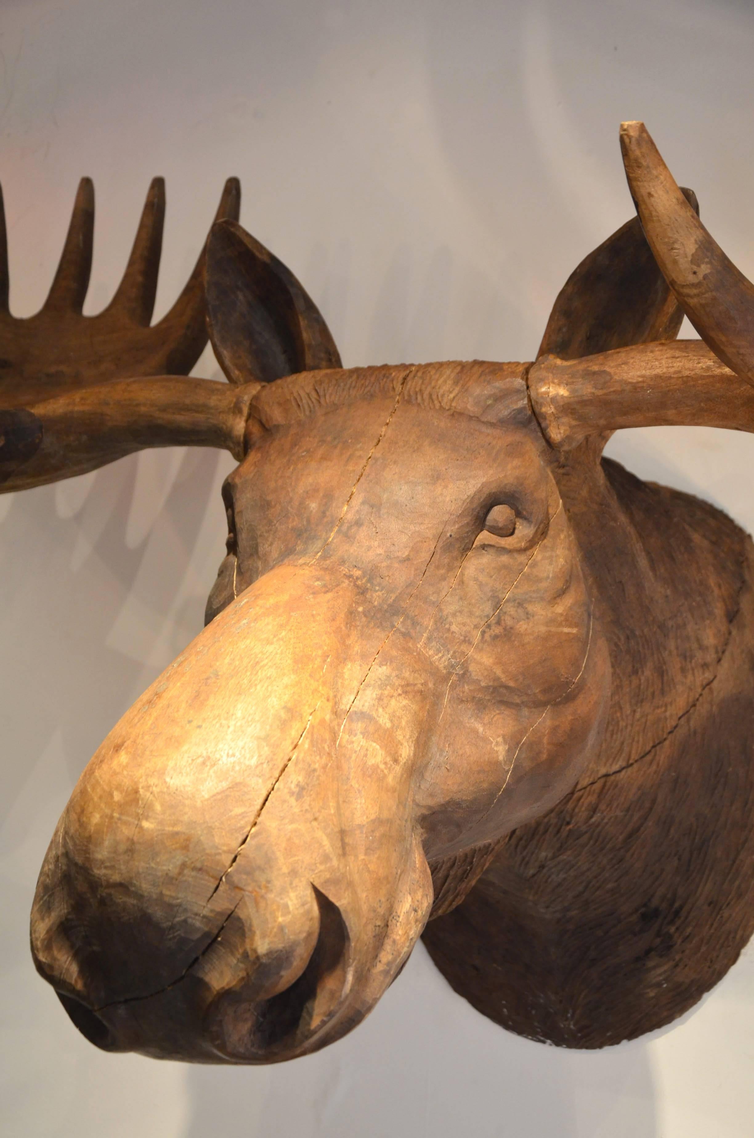 Mid-Century Modern Huge Massive Wood Carved Caribou Head For Sale