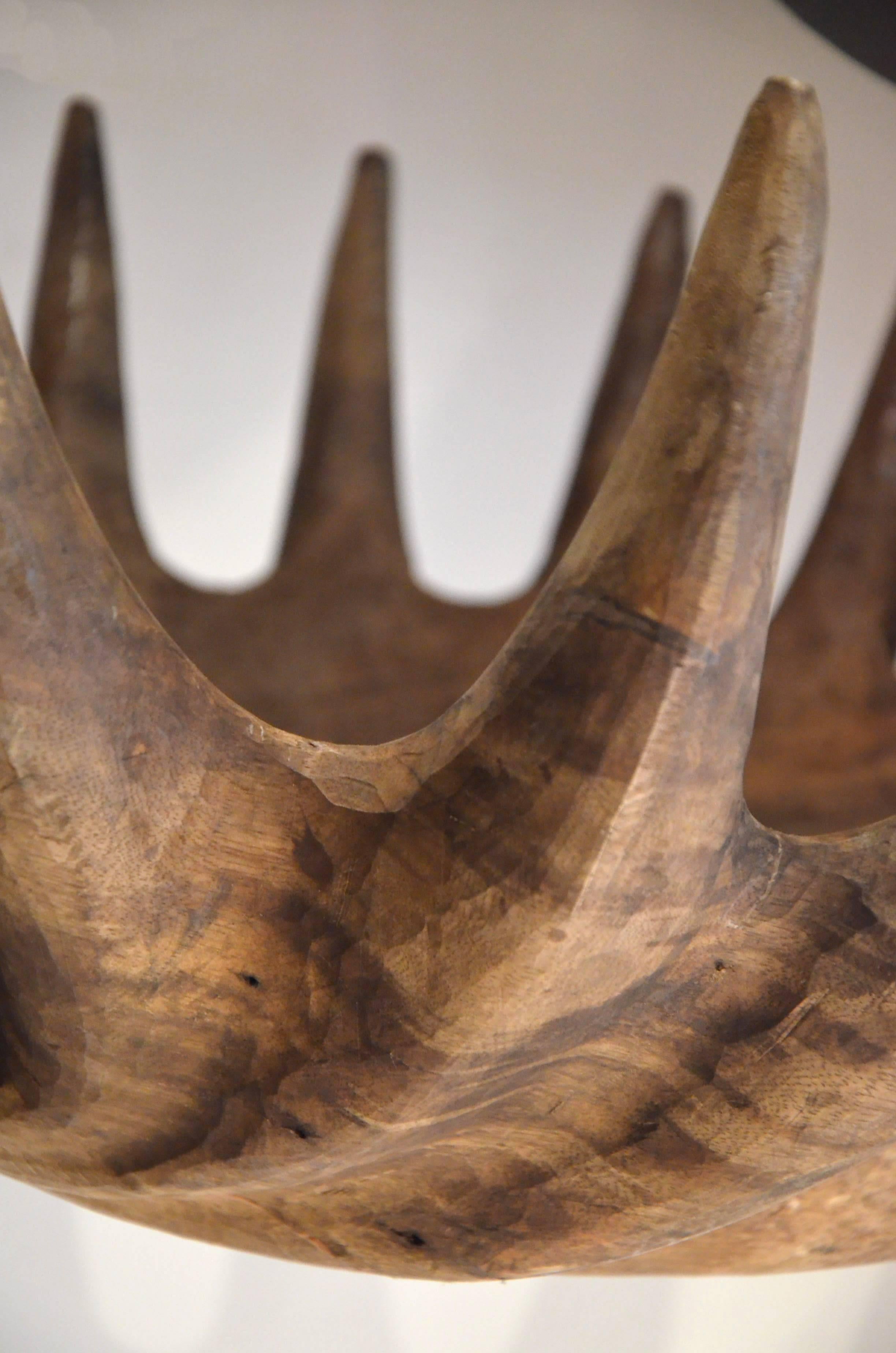 Huge Massive Wood Carved Caribou Head For Sale 1