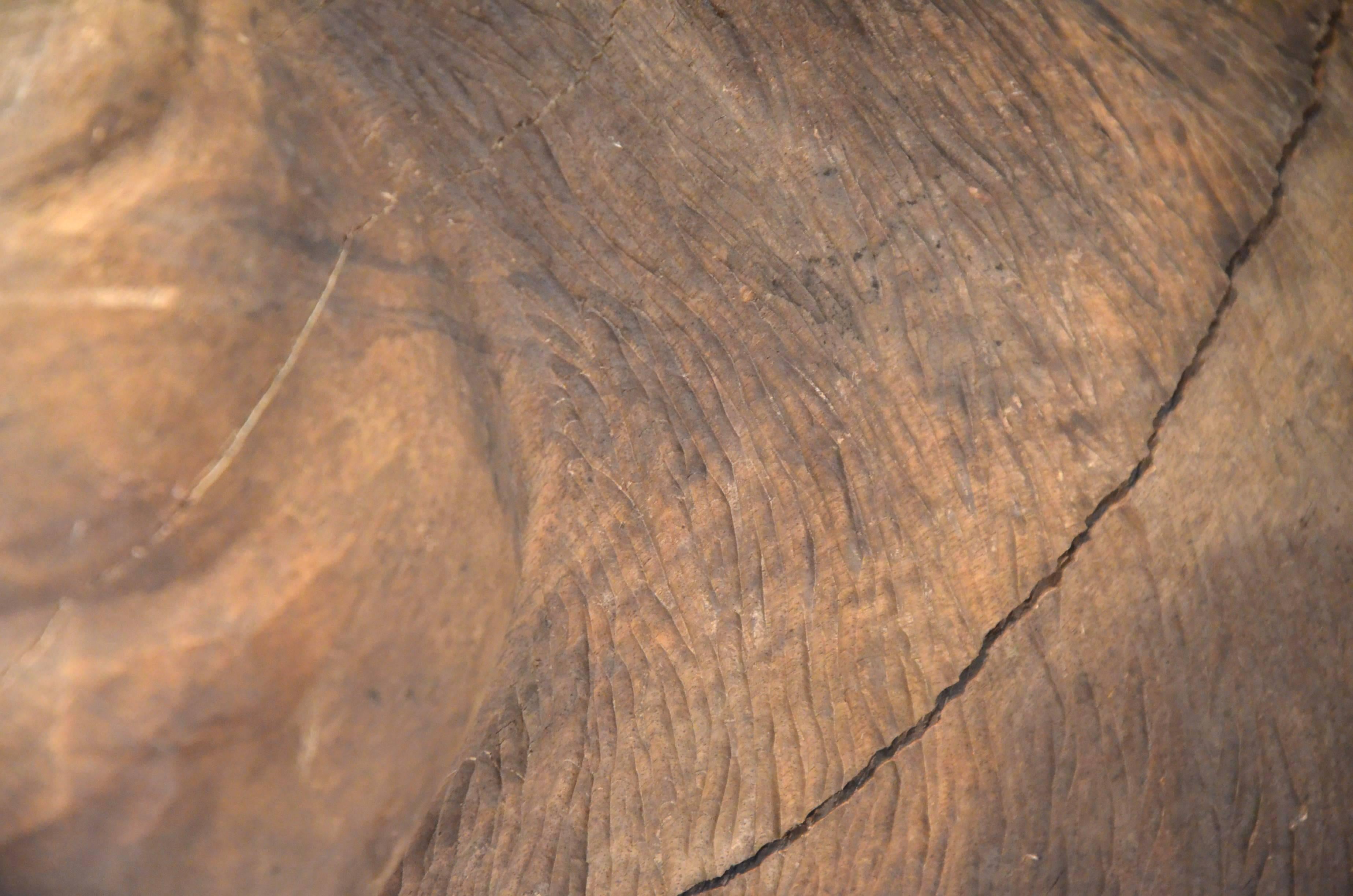 Huge Massive Wood Carved Caribou Head For Sale 2