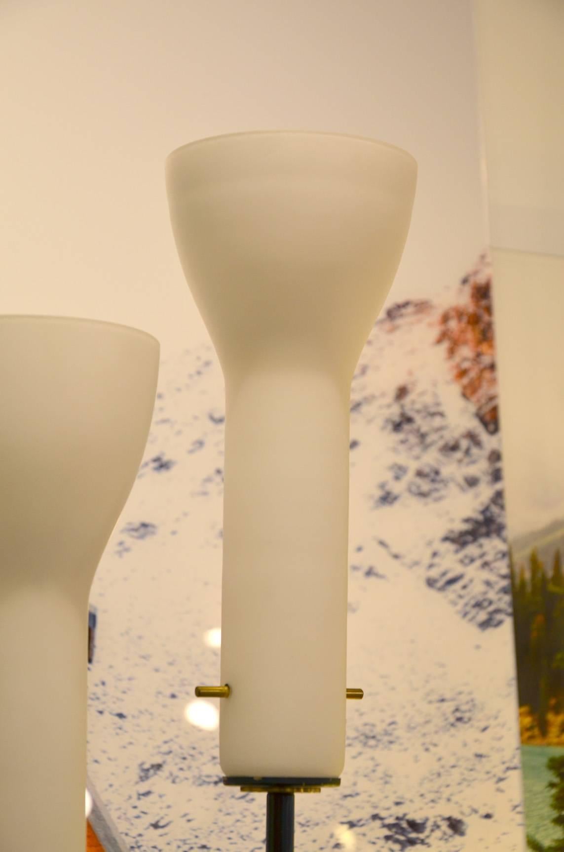 Mid-Century Modern Fantastic Bruno Gatta Italian Stilnovo Three Opaline Glass Floor Lamp For Sale