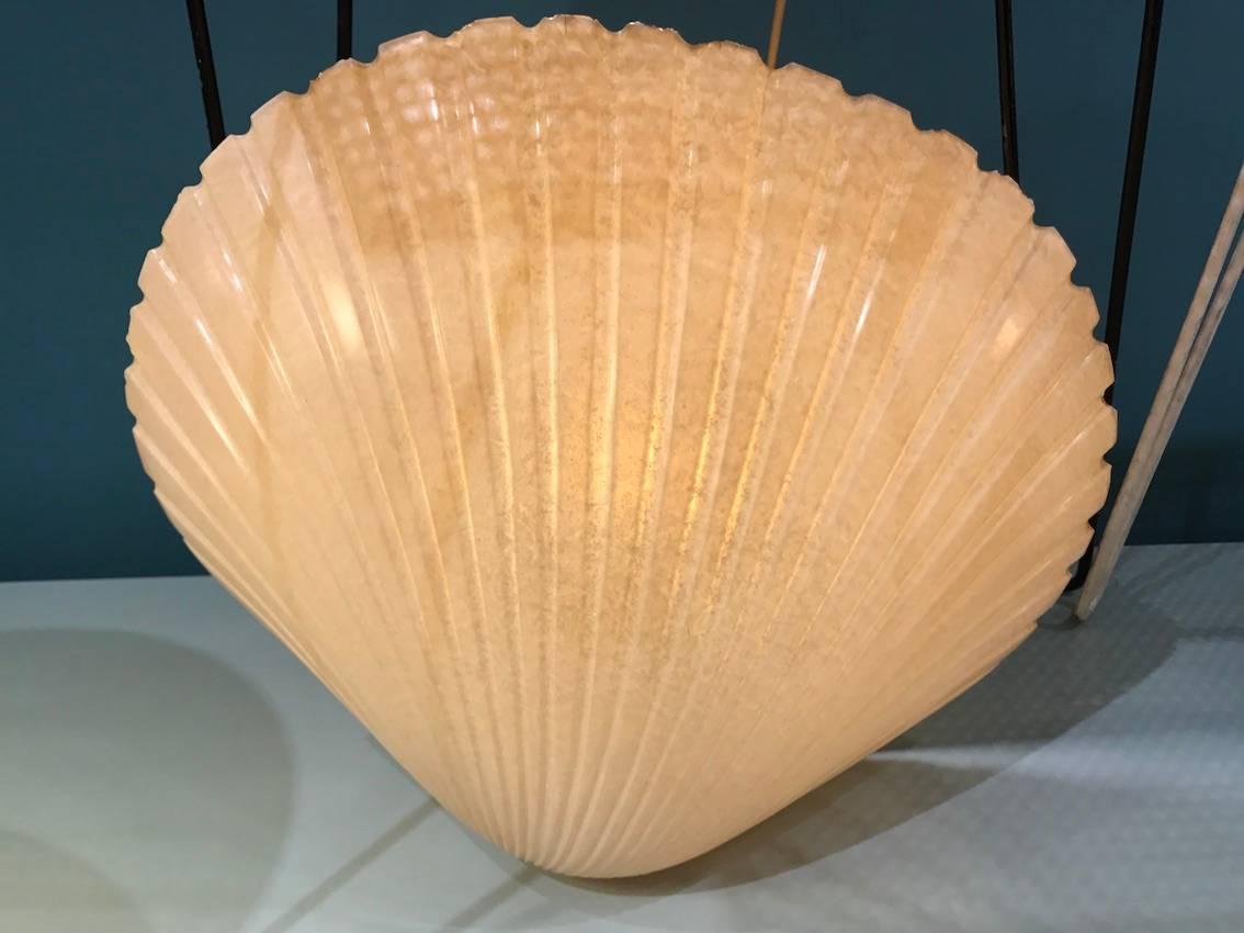 Mid-Century Modern Beautiful Pair of André Cazenave Shells Table Lamp, circa 1960 For Sale