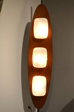 Fantastic Pair of Italian Reggiani Surf Floor Lamp, circa 1960