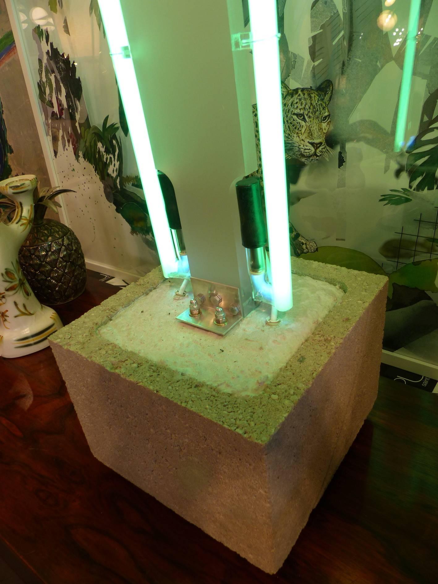 Mid-Century Modern Fantastic FD63 Cactus Neon Light For Sale
