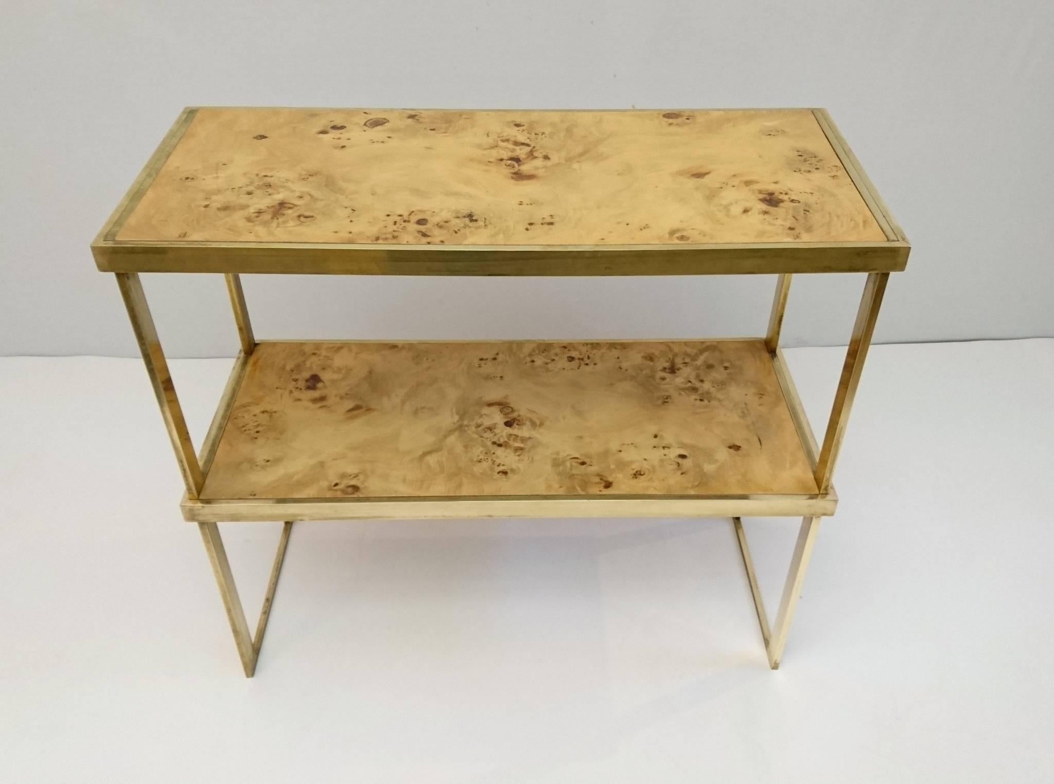 Modern Multipurpose Italian Burl and Brass Shelf, Coffee Table or Side Table