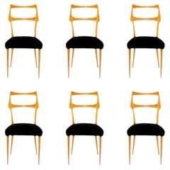 Used Set of Six Midcentury Dining Chairs in Maple, Italy