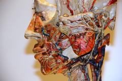 Detachable Anatomical Head Model  in Paper-Mâché by Dr. Auzoux