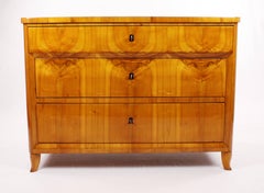 Unique 19th Century Biedermeier Period Chest of Drawers, circa 1820-1830