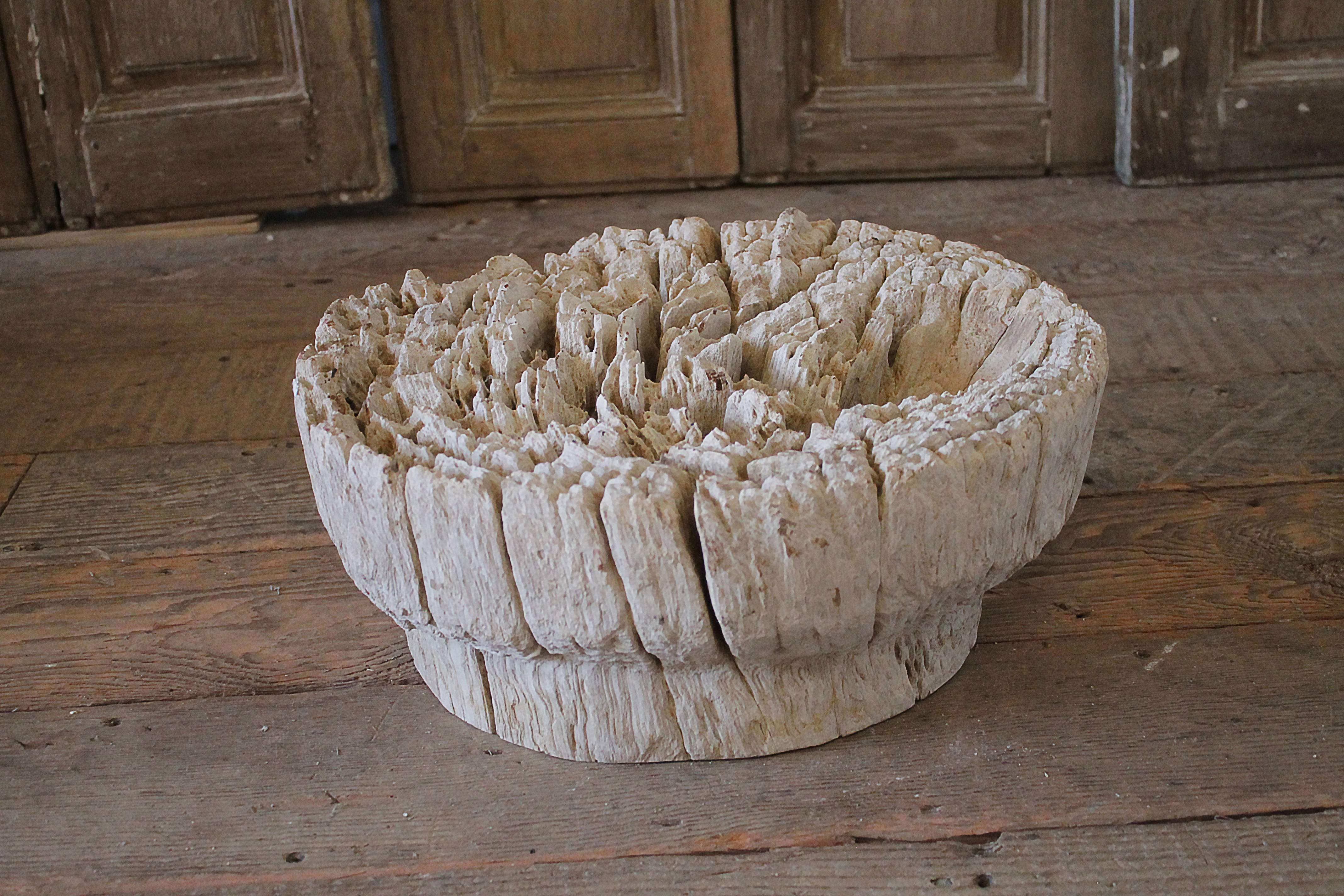 Petrified Wood Carved Petrified Wall Art or Centrepiece