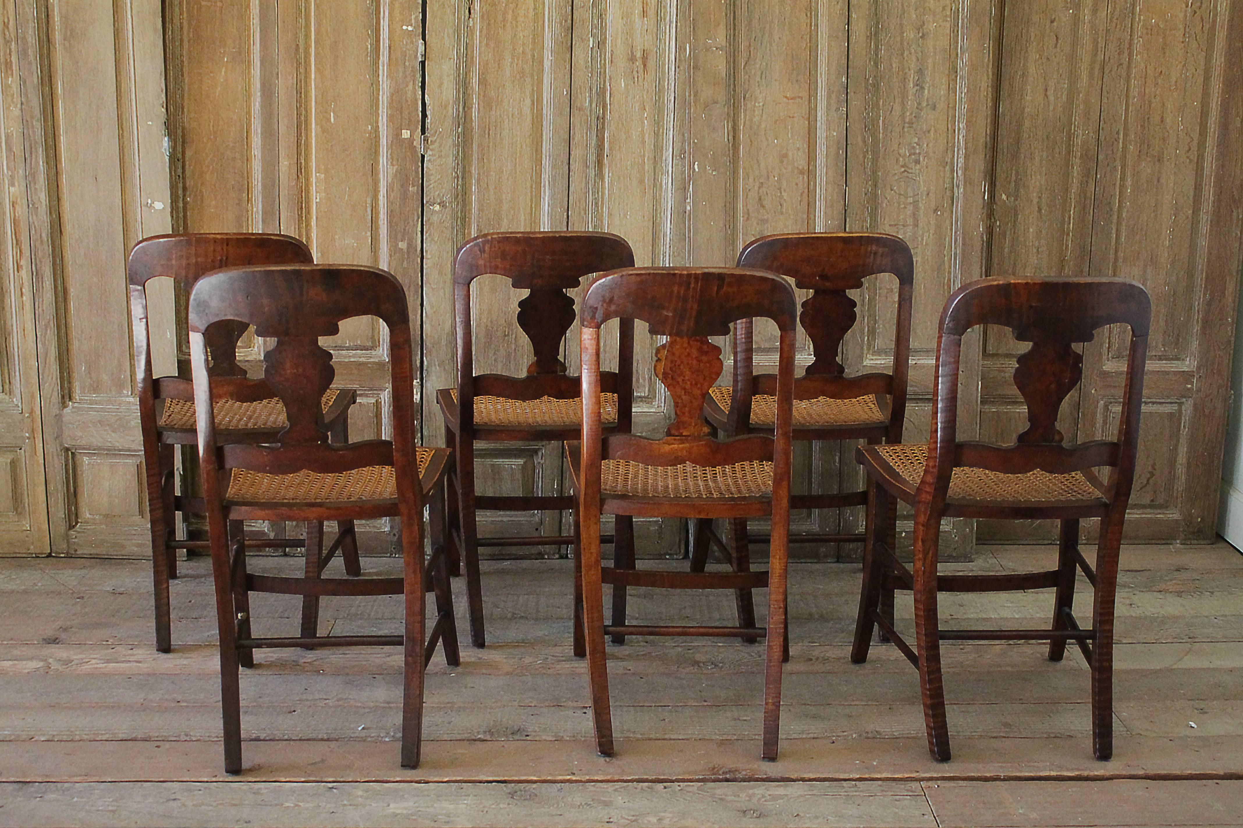 19th Century English Set of Six Dining Chairs with Cane Seats 5