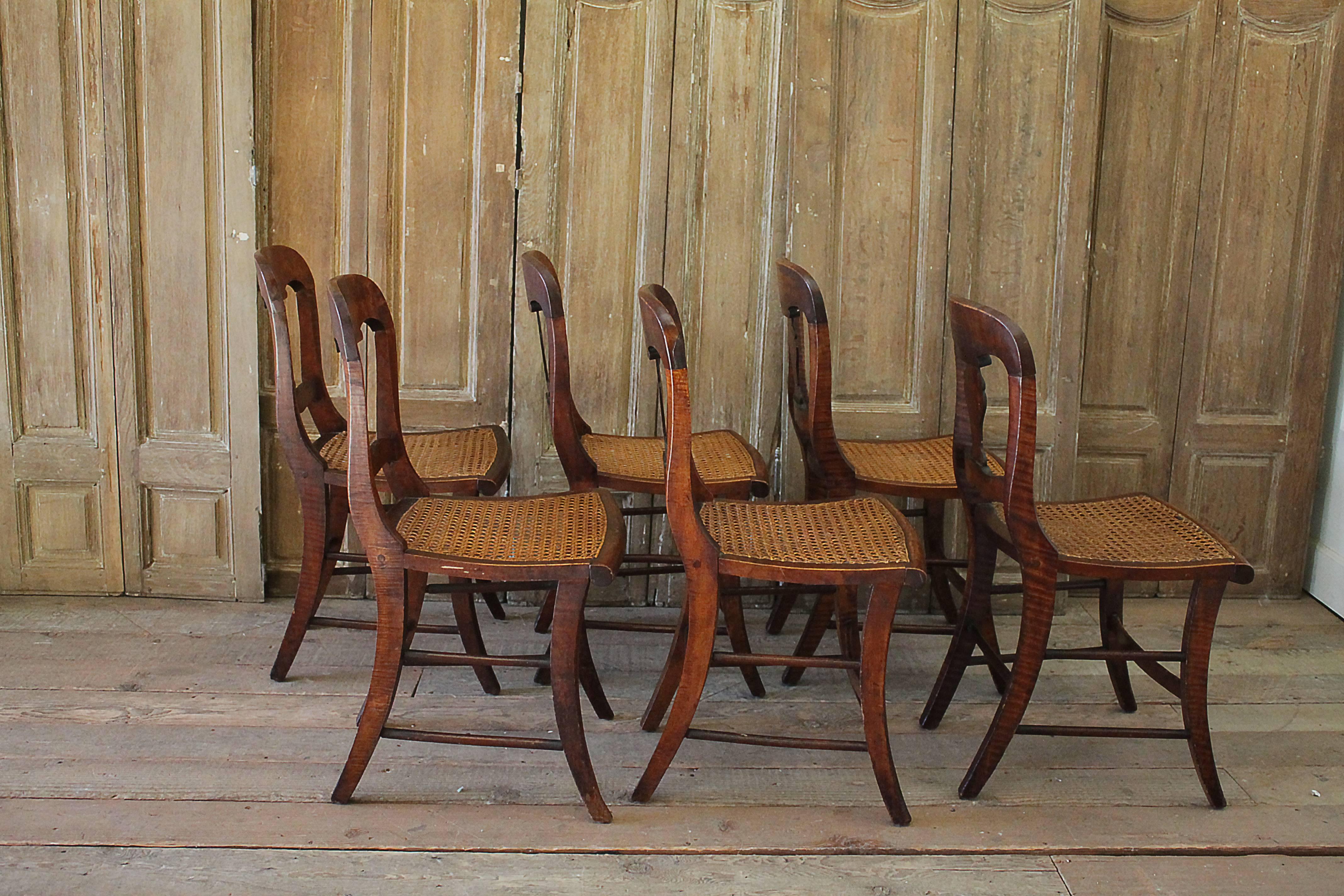 19th Century English Set of Six Dining Chairs with Cane Seats 4