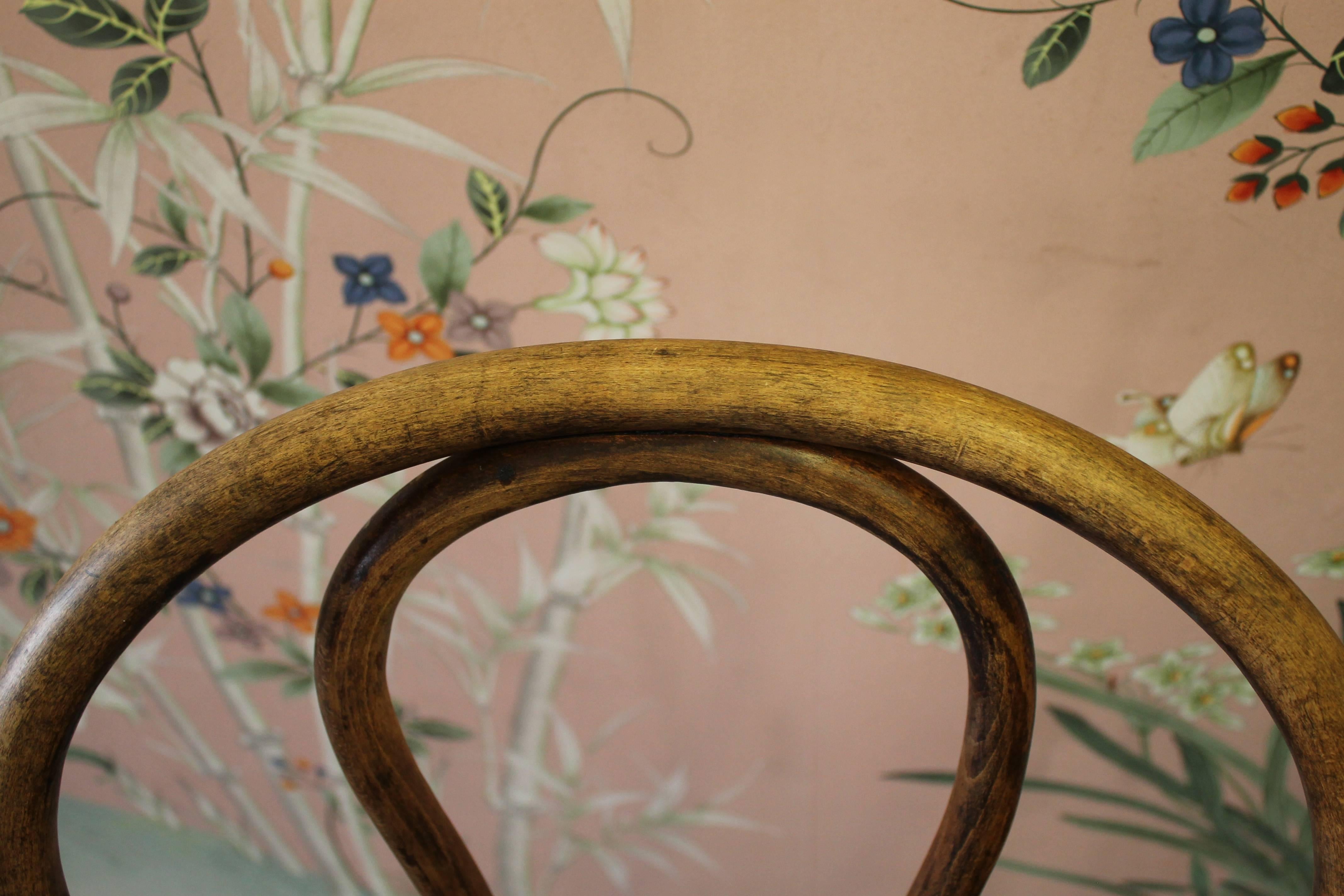antique bentwood chairs