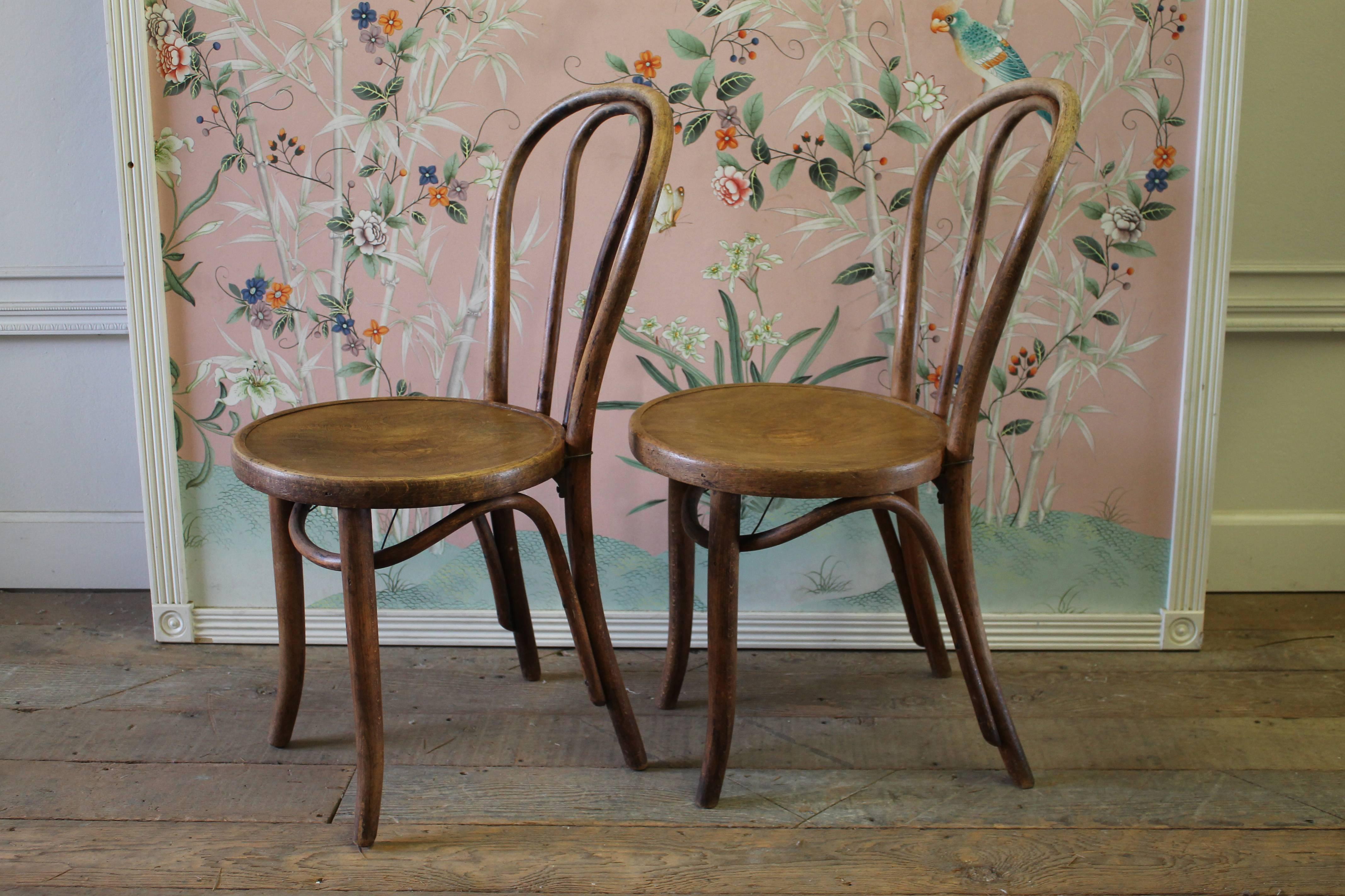 bentwood chairs vintage