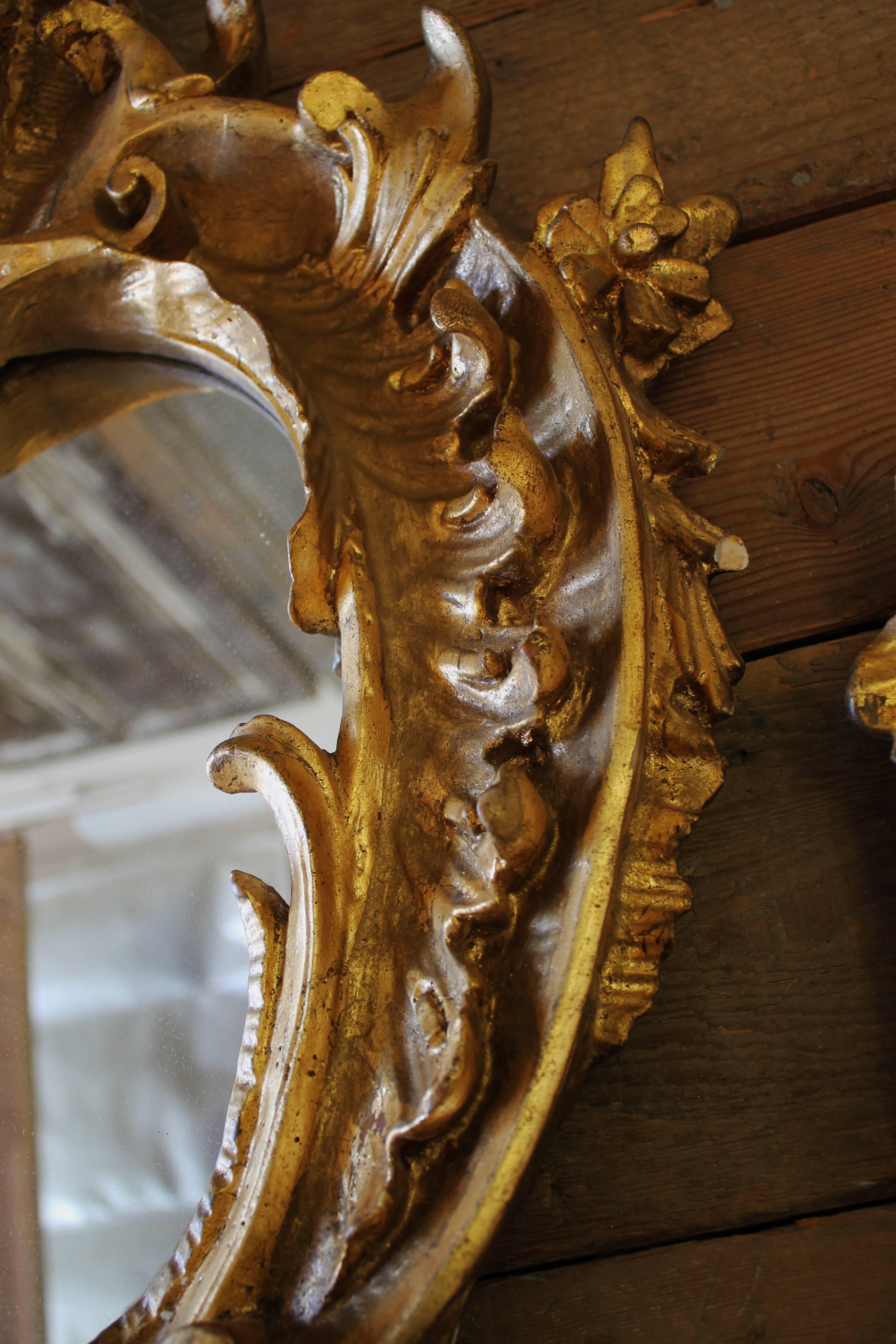 French Pair of 19th Century Gilt Rococo Mirrors