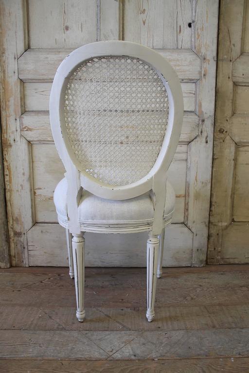 Louis XVI Style Cane Back Dining Chairs at 1stDibs louis cane back