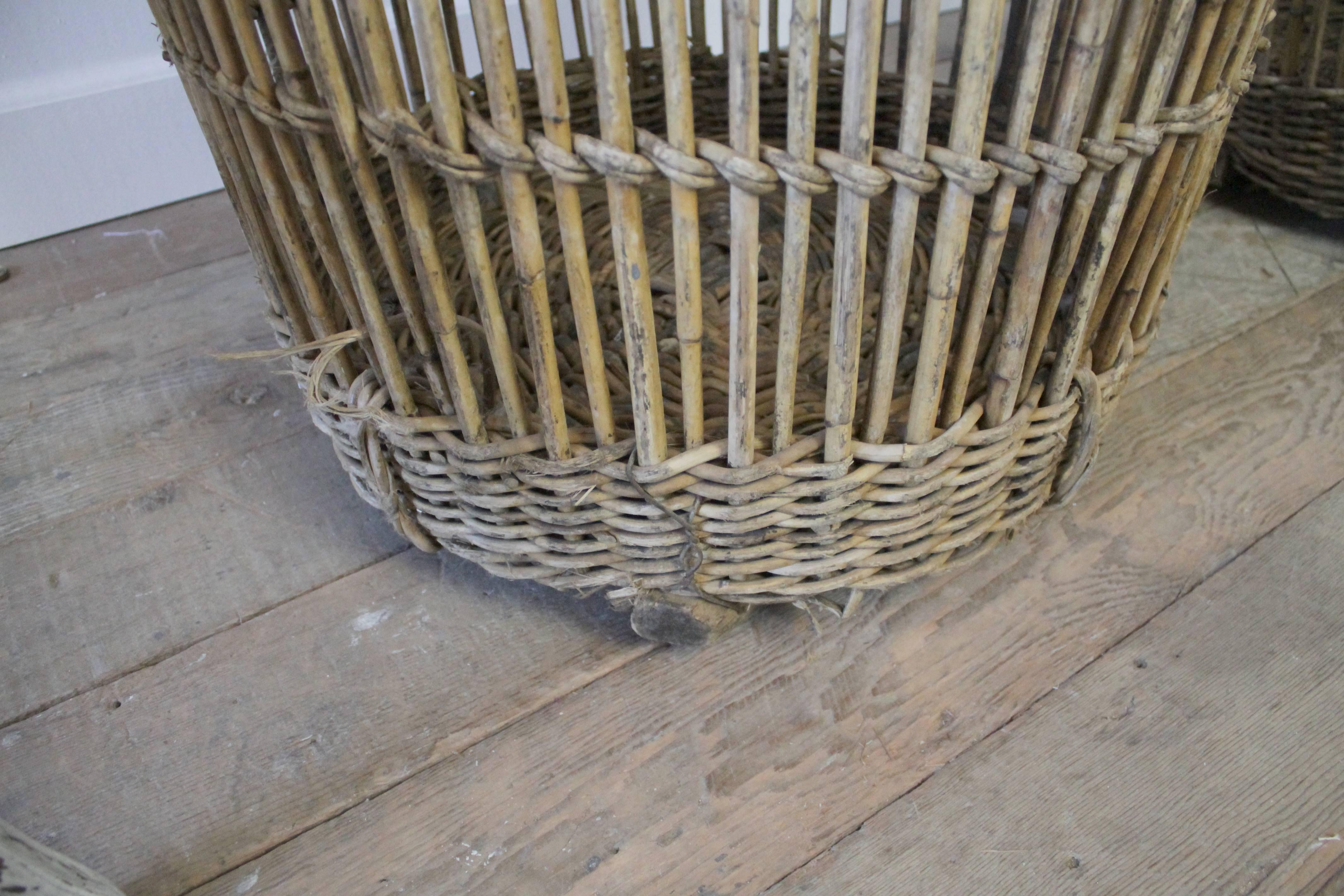 Large Antique French Harvest Basket In Good Condition In Brea, CA