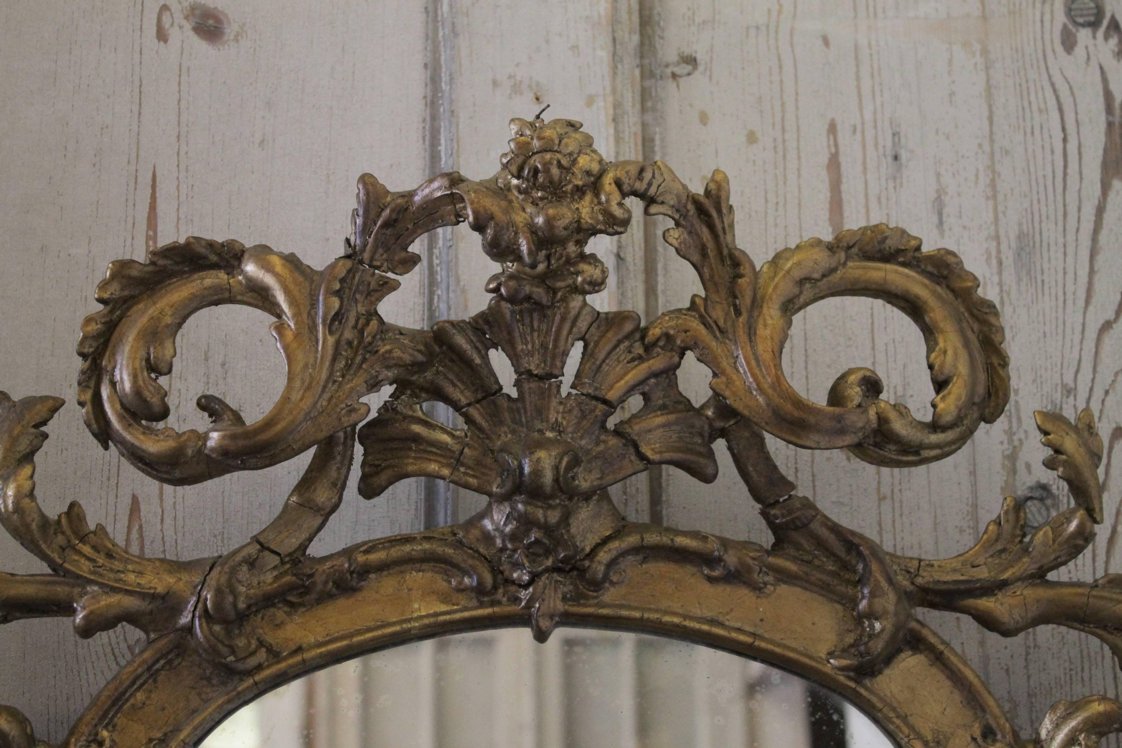 Pair of Two 18th Century French Giltwood Rocaille Mirrors with Girandoles 1