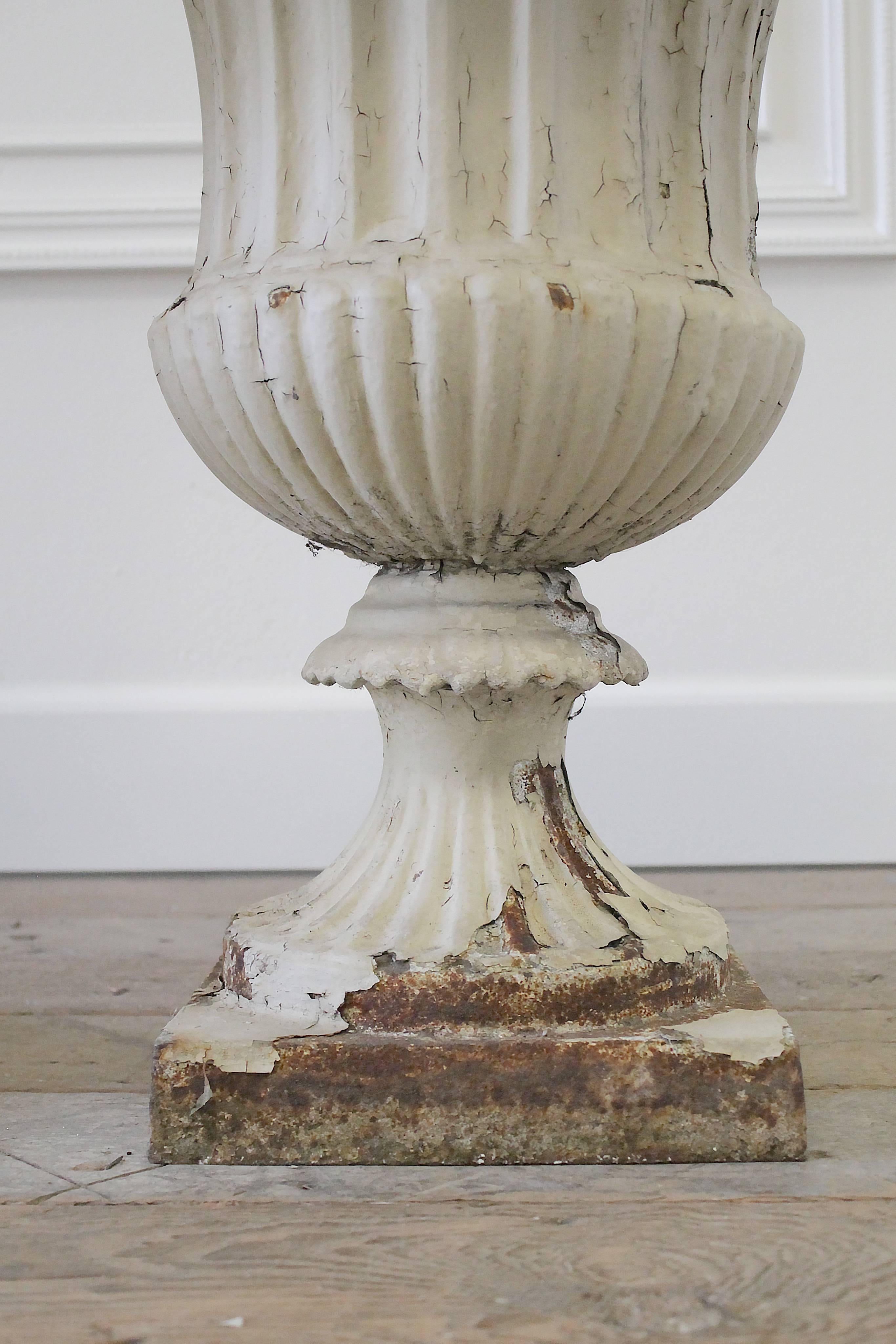 Beautiful urns with chipping creamy white paint. Lacy scalloped rim and fluted base. Urns are solid and heavy they do show signs of light rust at the bottom. Paint has a wonderful weathered look.
Measures: 17.5