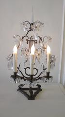 19th Century Bronze and Crystal Candelabra
