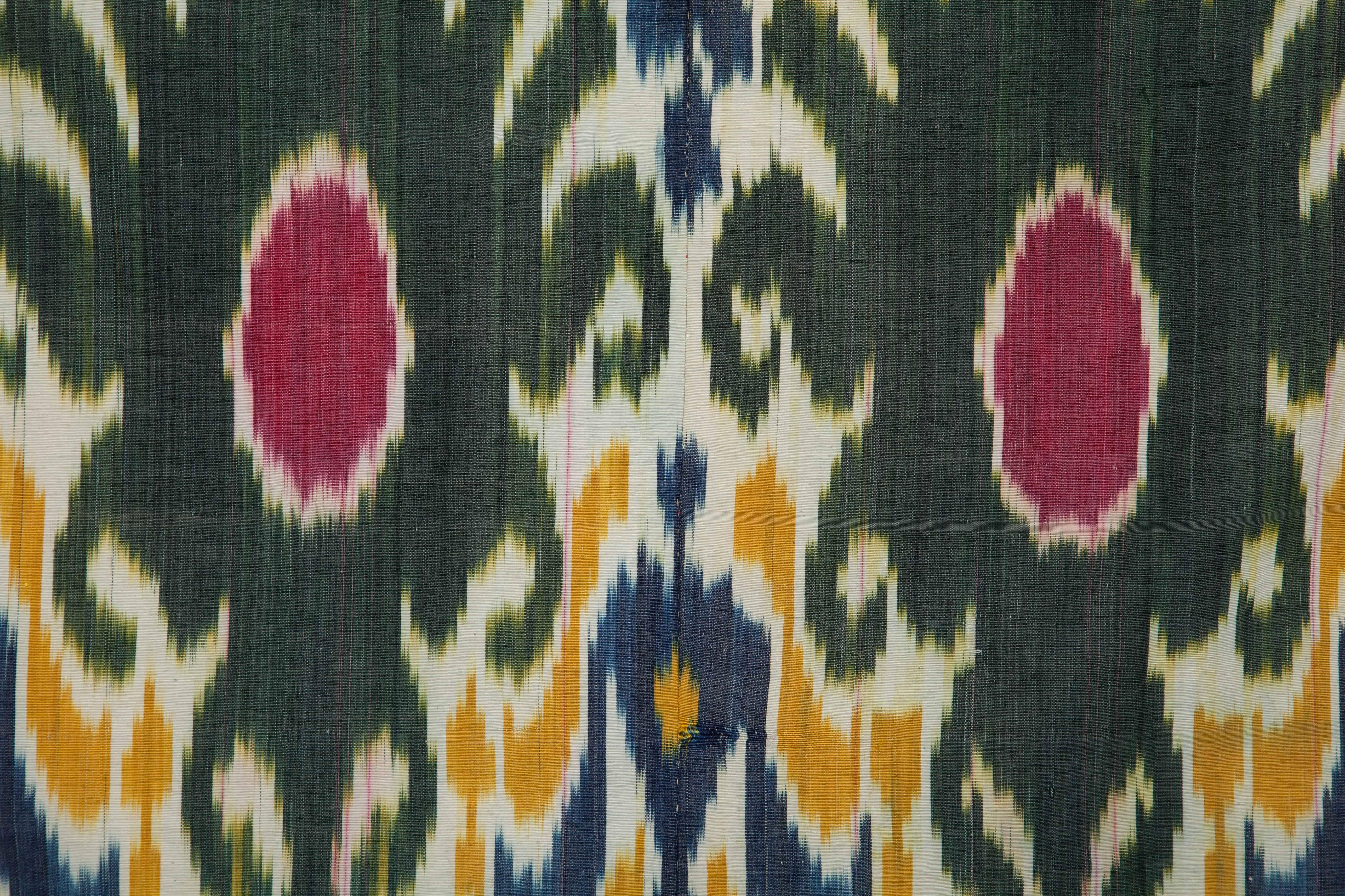 19th Century Silk Warp, Cotton Weft, Uzbek Ikat Panel 4'5'' x  5'8'' 1