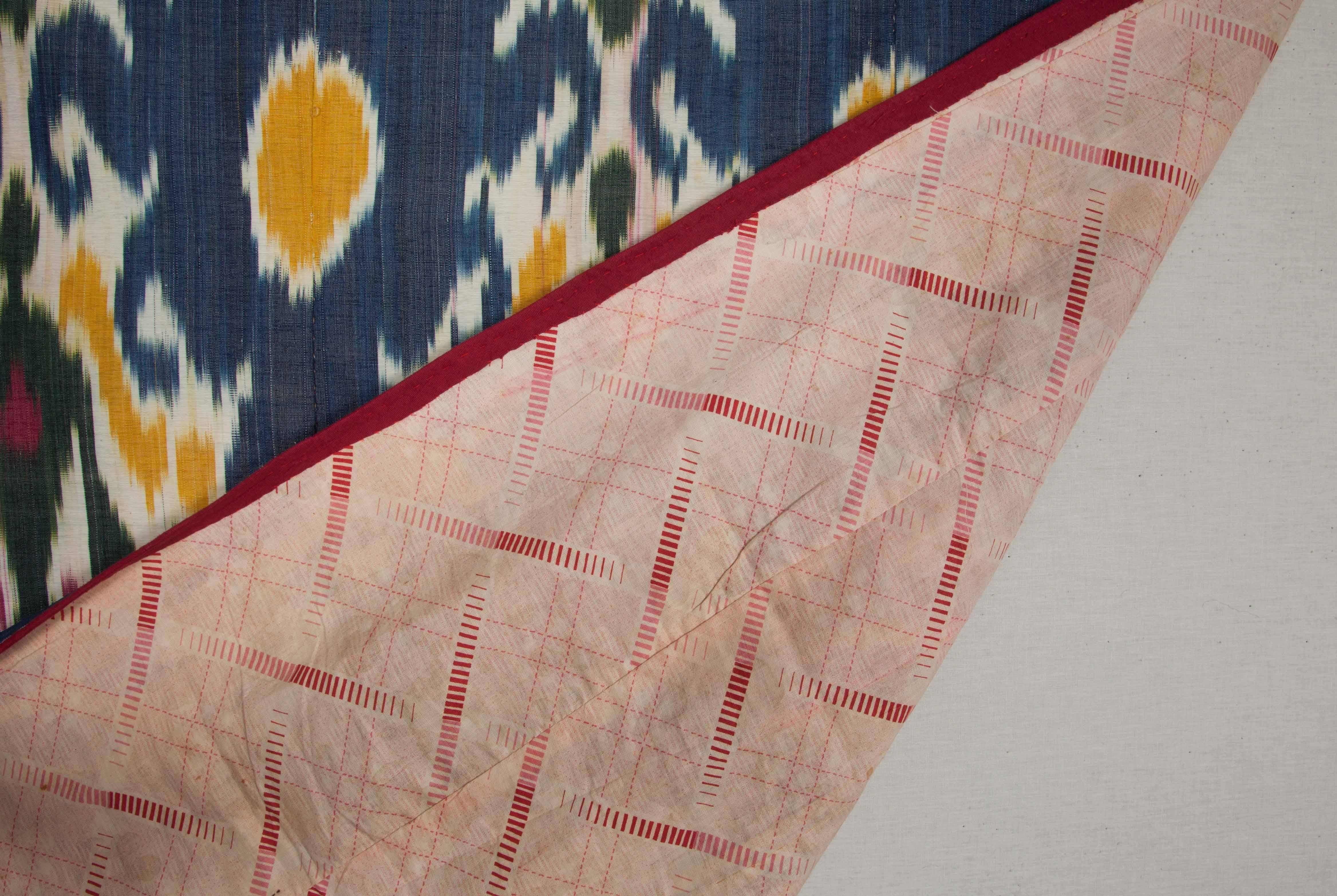 19th Century Silk Warp, Cotton Weft, Uzbek Ikat Panel 4'5'' x  5'8'' 2