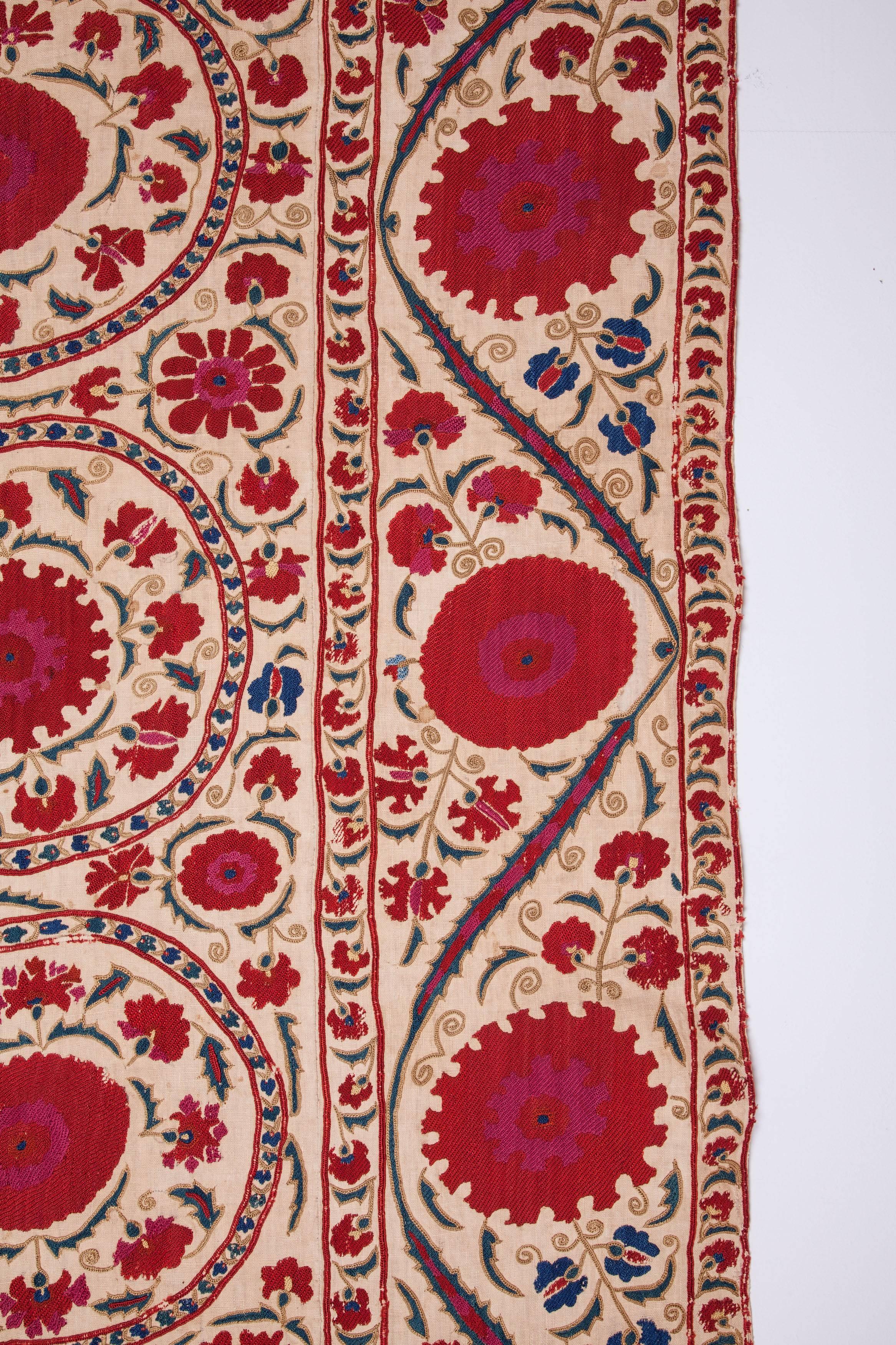 Cotton 19th Century Bukhara Suzani from Uzbekistan