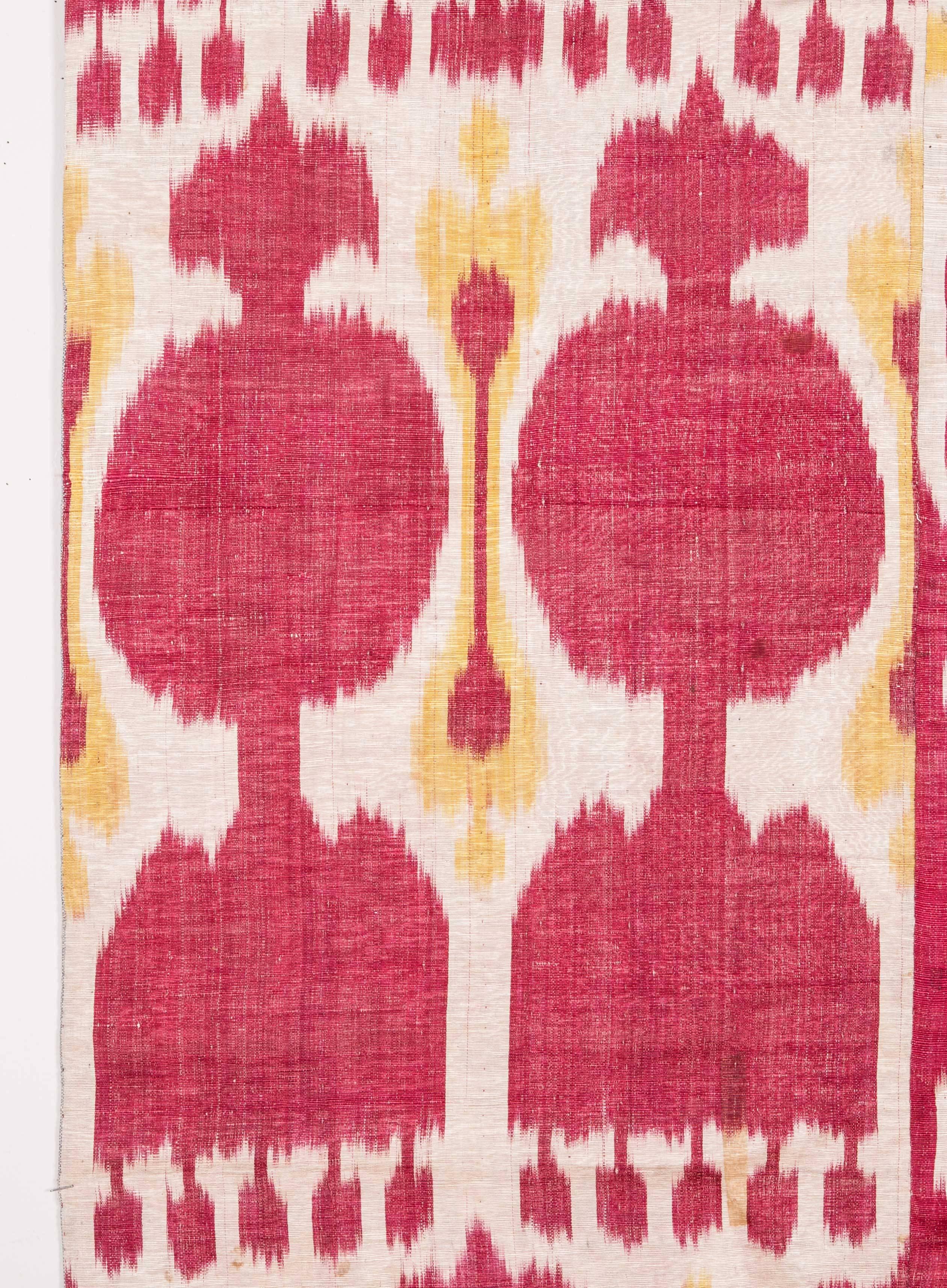 Late 19th Century Central Asian Uzbek Ikat Hanging 1