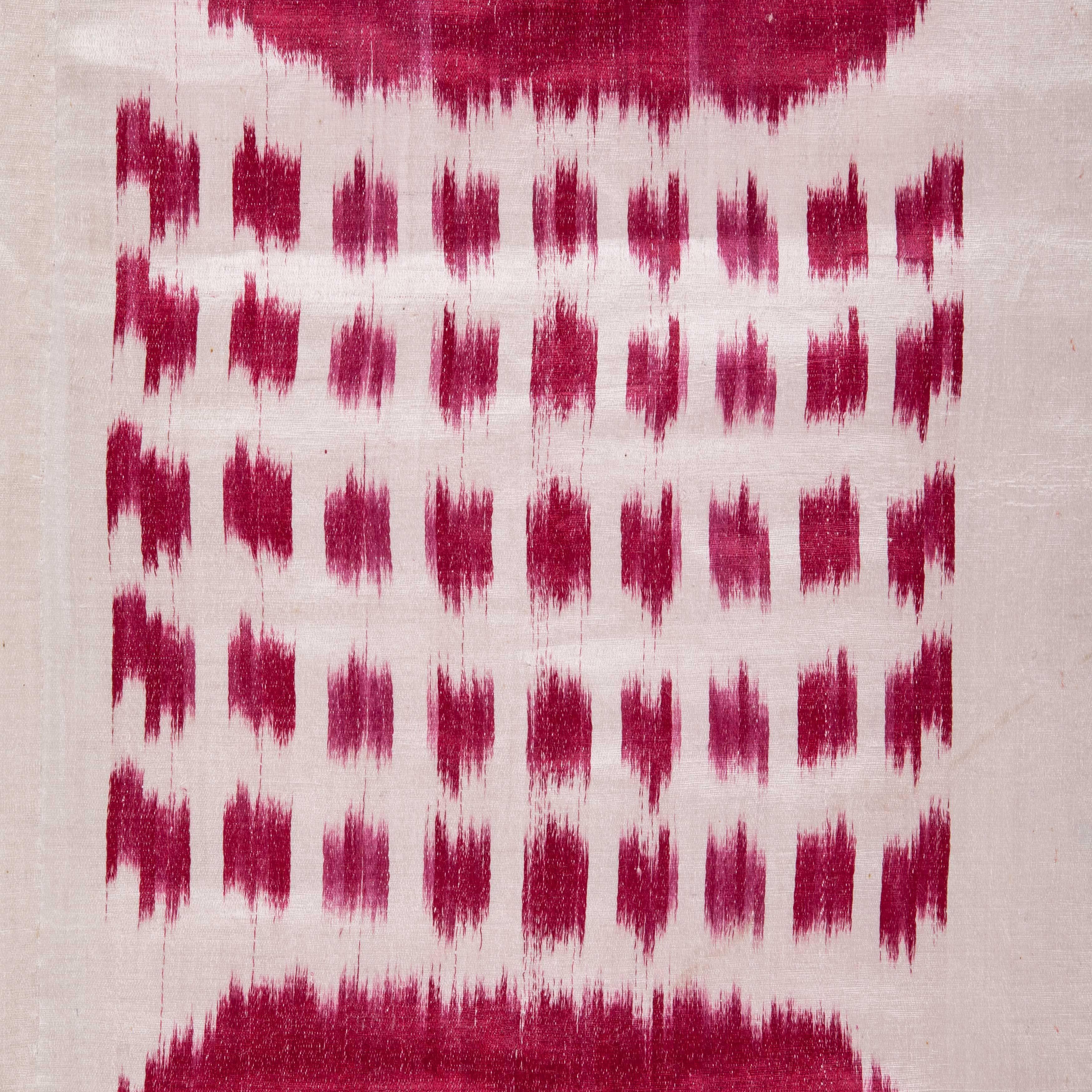 19th Century Central Asian Uzbek Ikat Panel, Hanging In Good Condition In Istanbul, TR