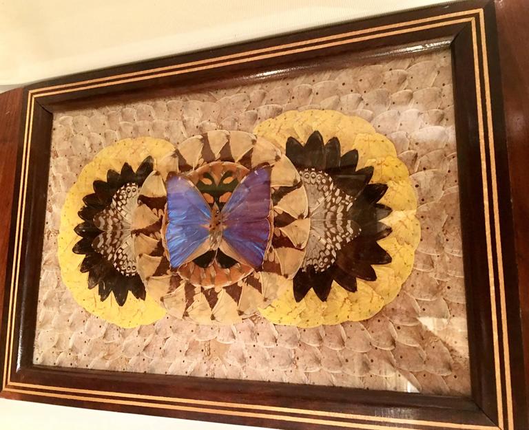 MidCentury Brazilian Wood and Brass Pressed Butterfly Tray For Sale at