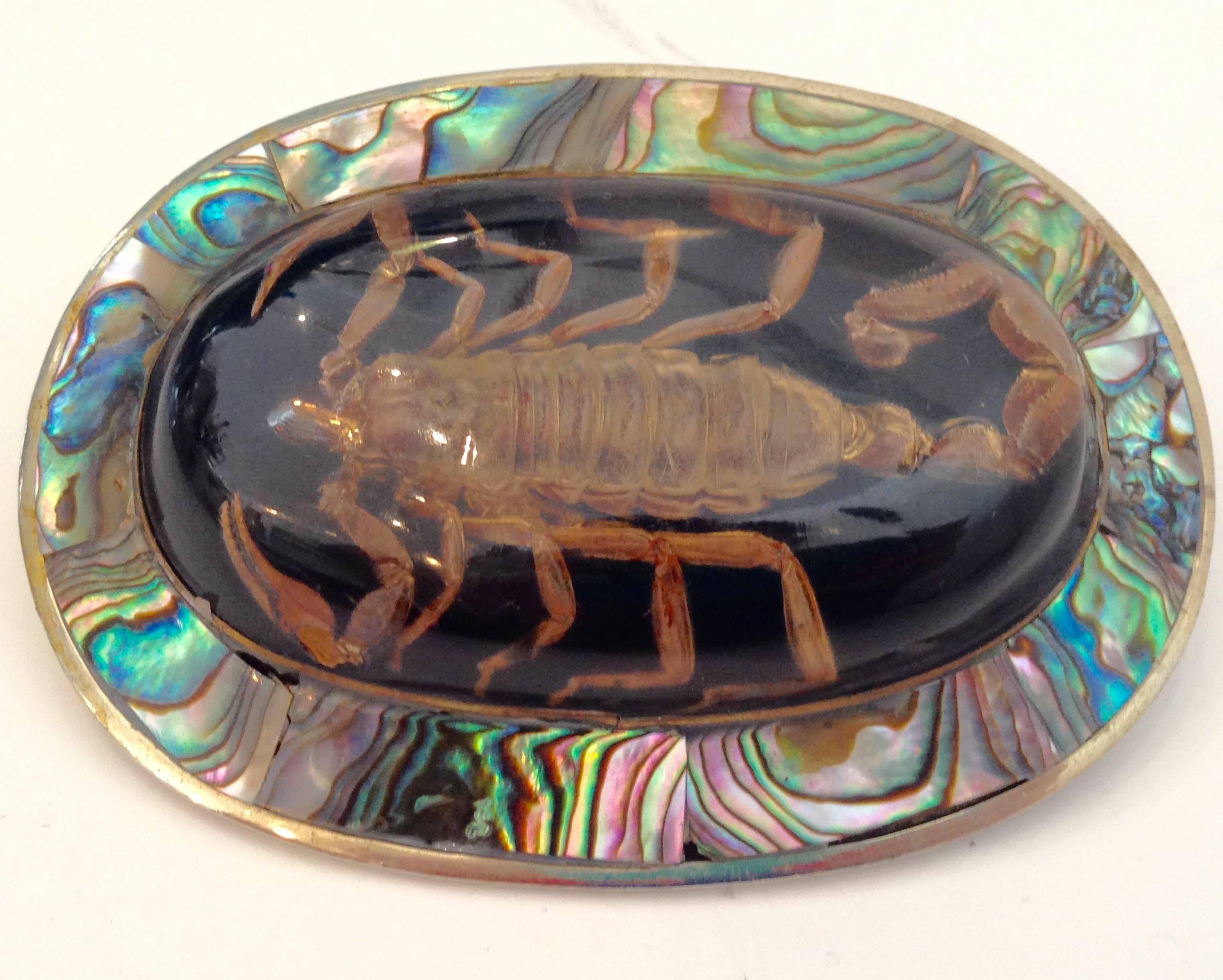 abalone belt buckle
