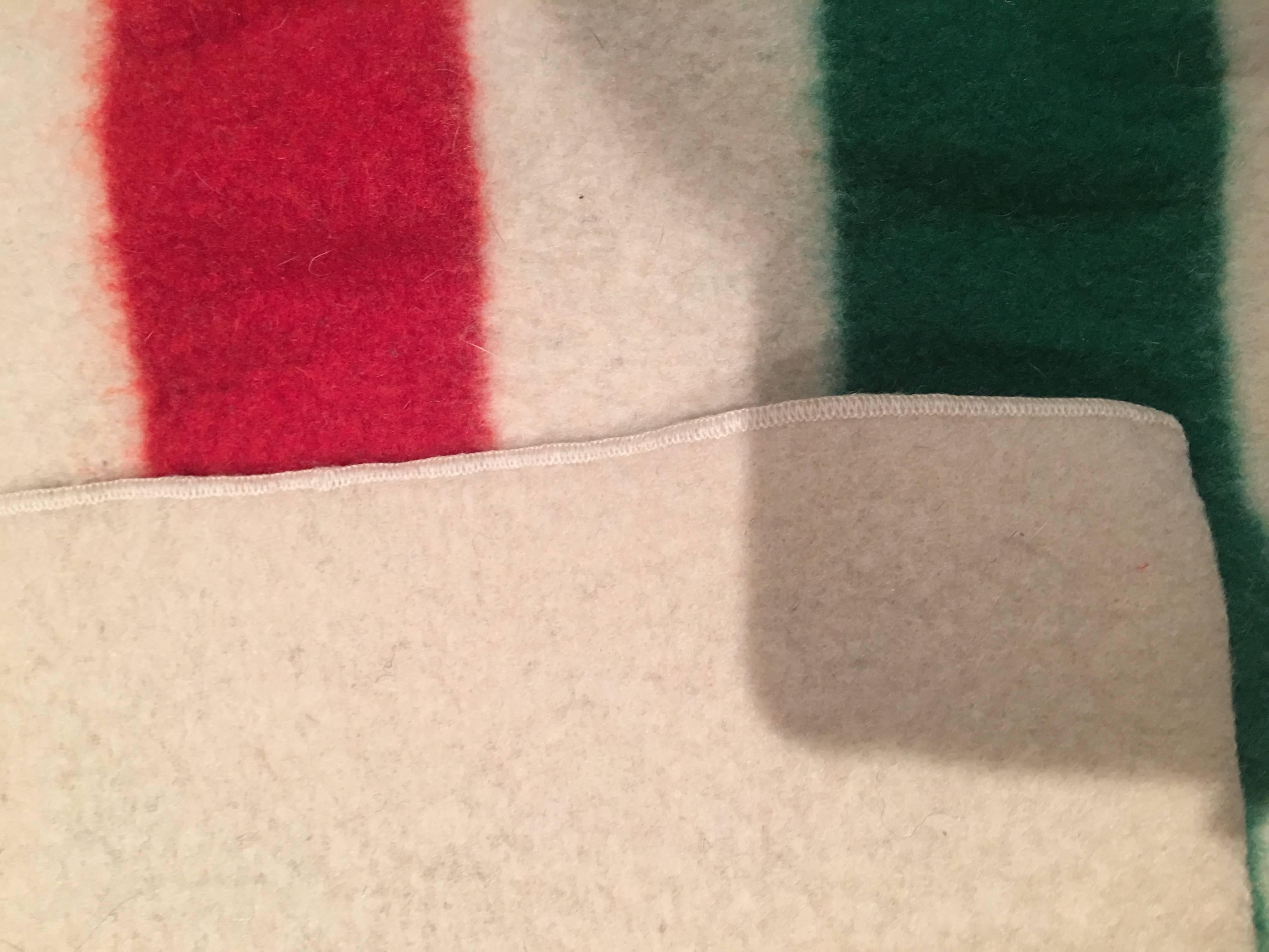 Vintage Pendelton Glacier National Park Striped Blanket For Sale at