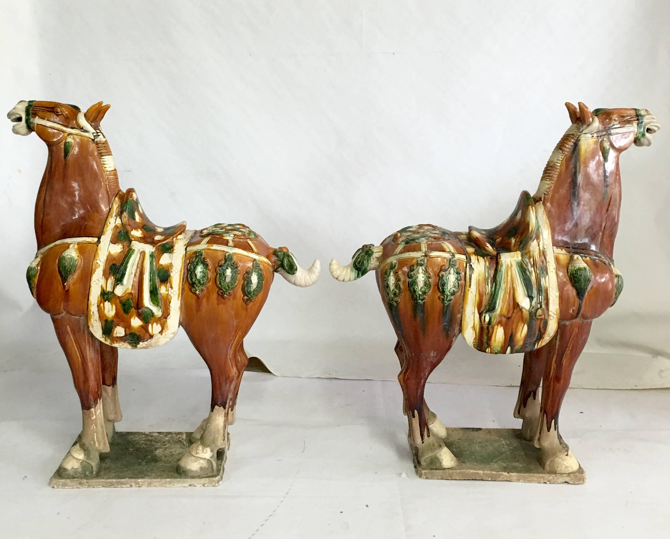   Mid-Century Tang Dynasty Style Floor Scale horse sculptures.This pair of beautiful terracotta horses are handmade and painted using the ancient Tri-Glaze techniques. 

