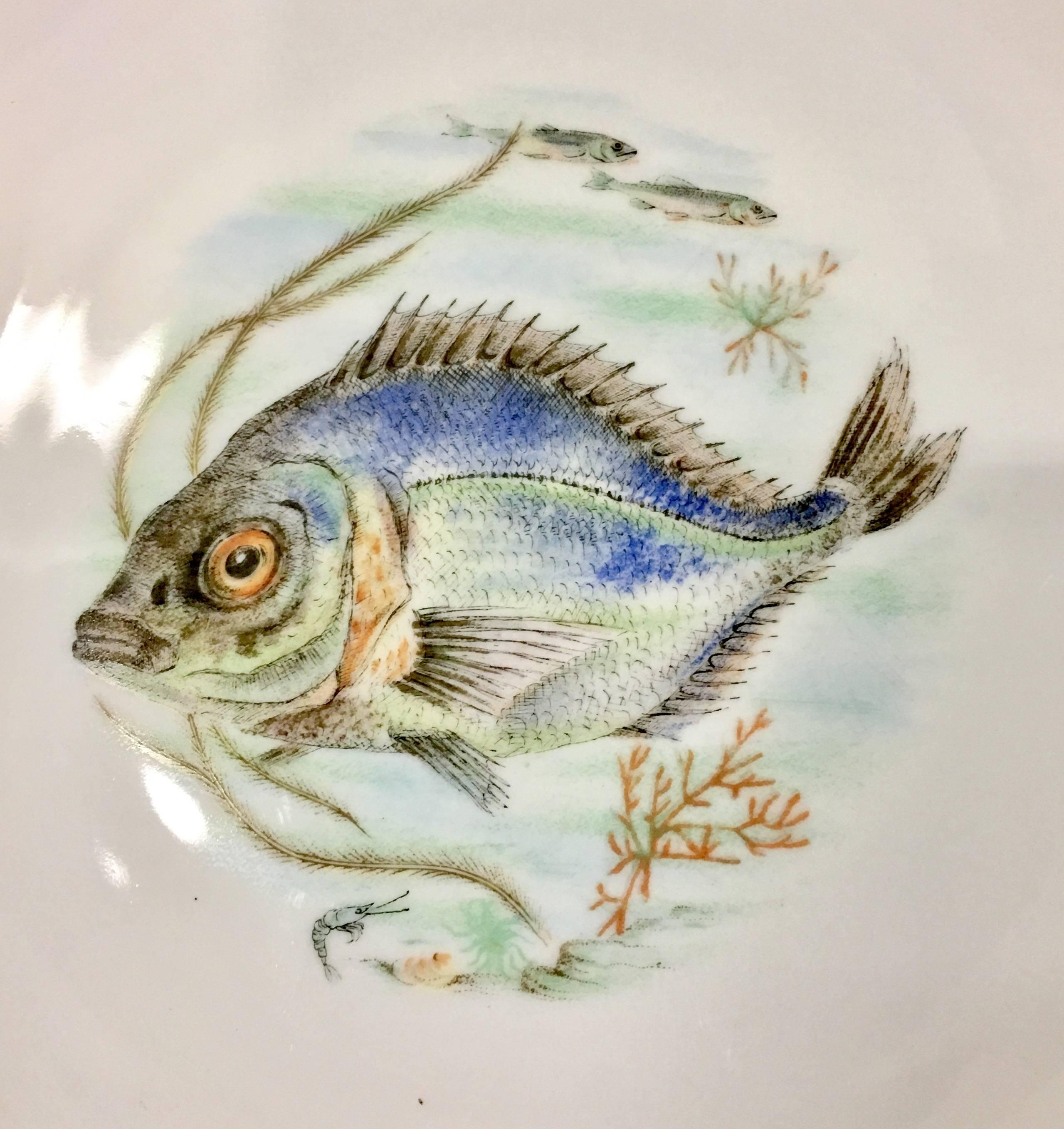 Mid-Century German Porcelain Hand-Painted Fish Serving Set of Seven For Sale 3
