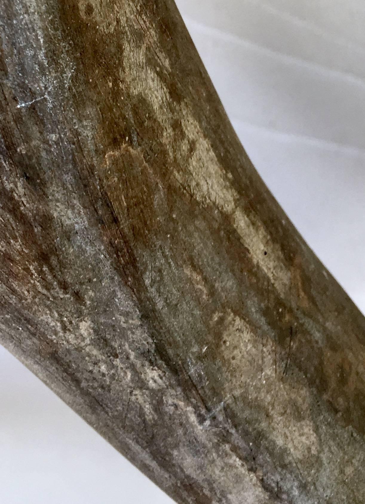 Contemporary organic modern heavy cast concrete 54" inch "Twig" bench. Can be used indoors and outdoors.
Seat height 16.5" inches.