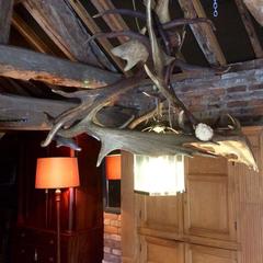 Deer Antler Chandelier Light Taxidermy Large Single Porch Light