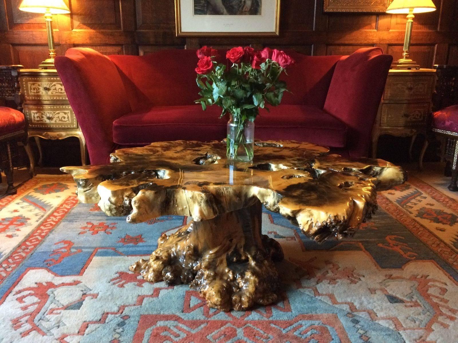 A unique and extremely gorgeous reclaimed Sierra Buckeye burr walnut coffee table, with a gnarled shaped, heavily lacquered top and stump, the table has an immensely lacquered finished and is more a work of art than coffee table, comes in two parts,