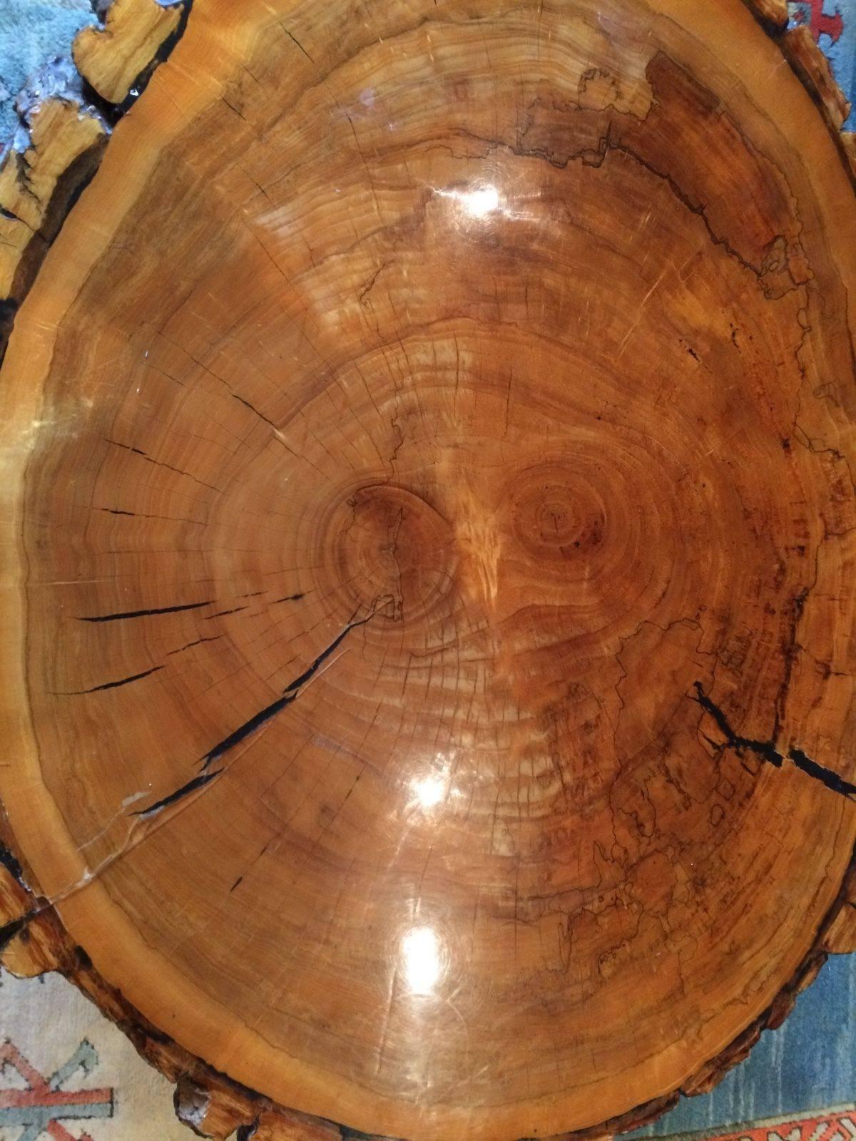 A unique and extremely gorgeous reclaimed English oak coffee table, a large slice of prime English oak that has an immensely lacquered finish, please note this is an extremely heavy table that will require a minimum of two strong people to move,
