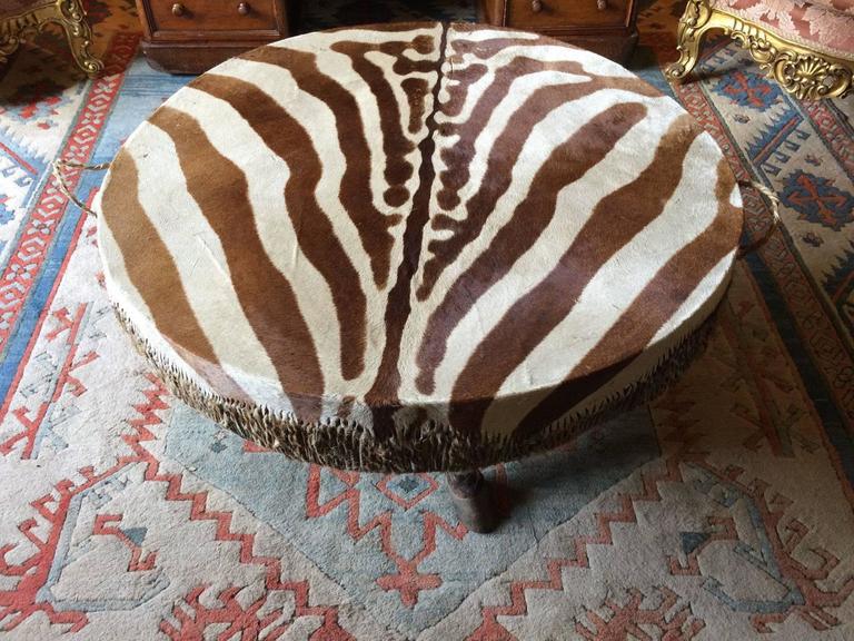 African Zebra Drum Coffee Table Very Large Hoof Legs Taxidermy At 1stdibs - Large African Drum Coffee Table African Zebra Drum Coffee Table Very Large Hoof Legs Taxidermy At 1stdibs - Large African Drum Coffee Table