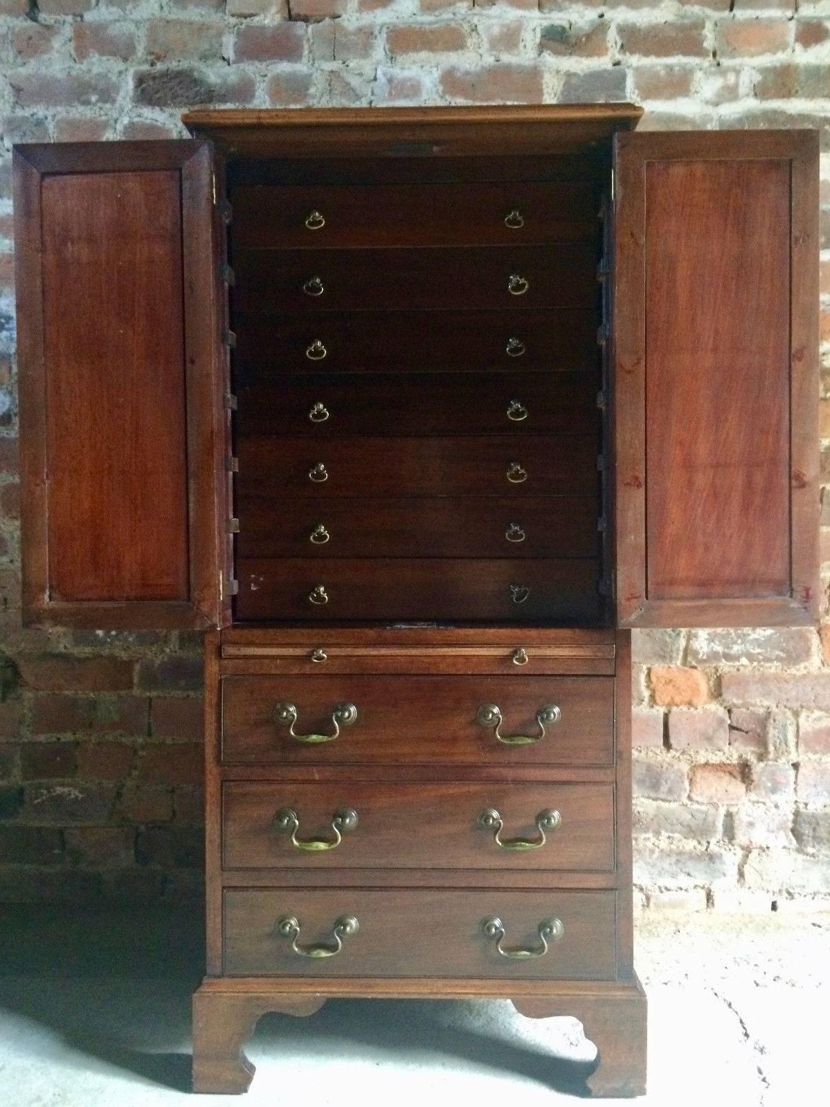 A beautiful antique 19th century Victorian Mahogany Collectors' cabinet, circa 1875, the moulded top above two panelled doors enclosing seven pull out drawers with brass handles, the lower section with a brushing slide above three further drawers