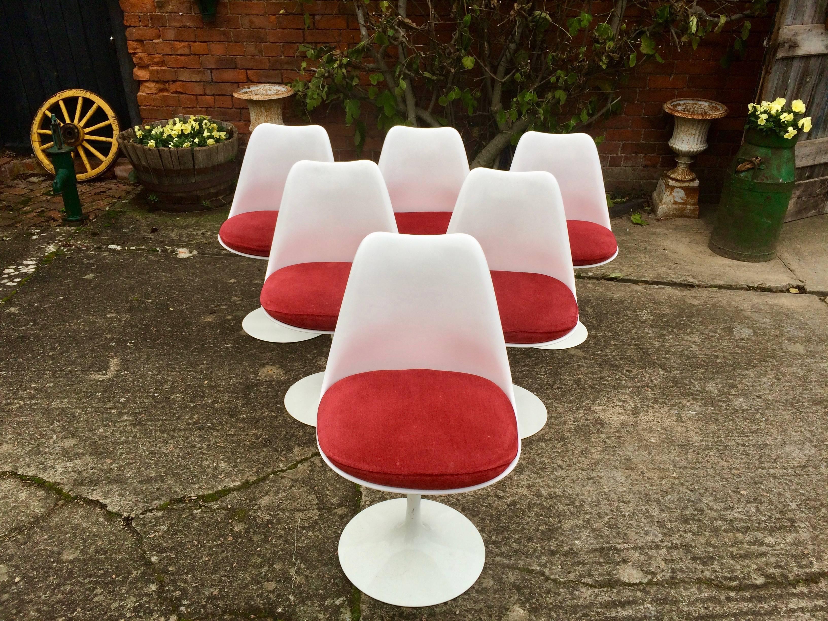 Eero Saarinen Oval Marble Dining Tulip Table Six Tulip Chairs Knoll Studio 1
