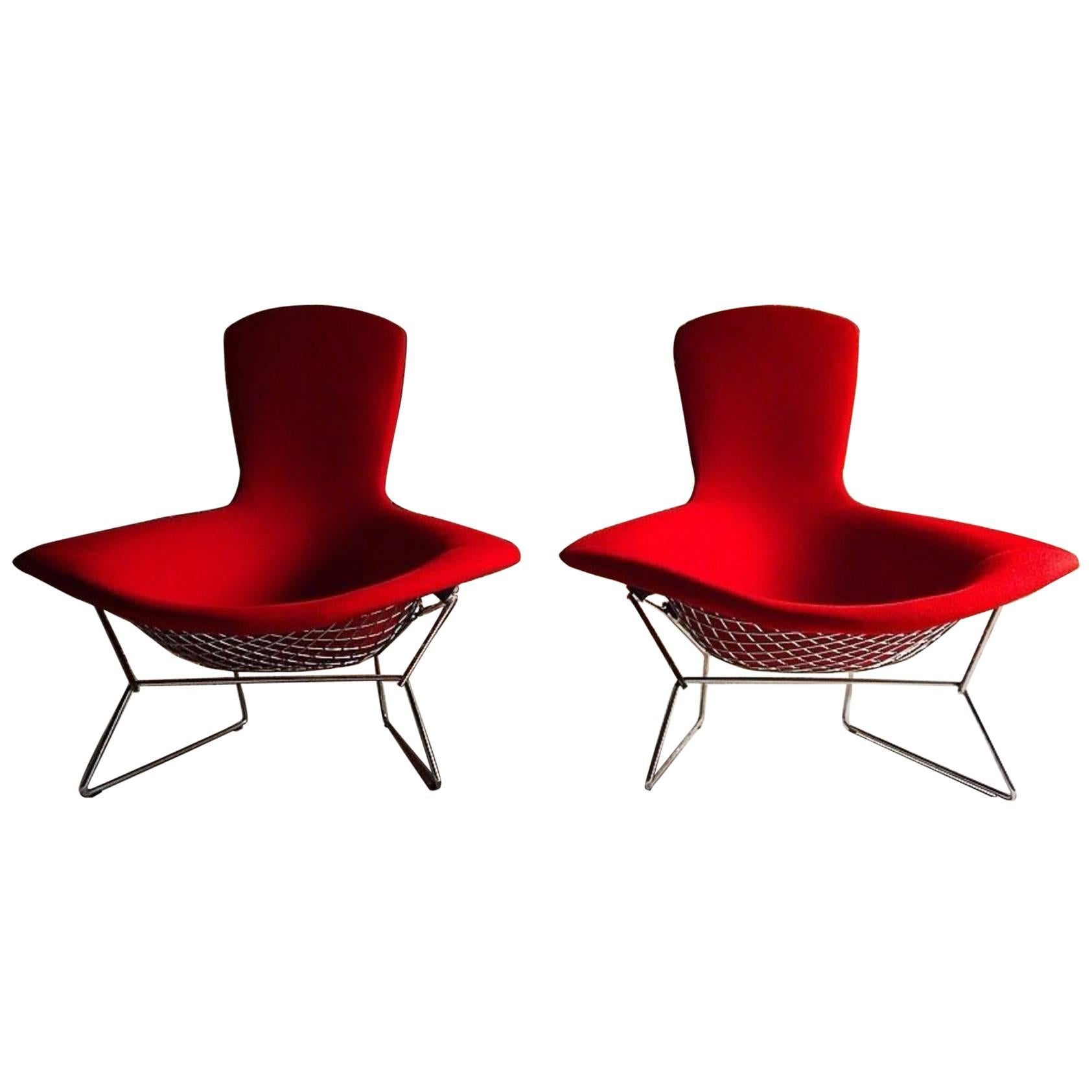 Pair of Harry Bertoia Bird Chairs in Red for Knoll International