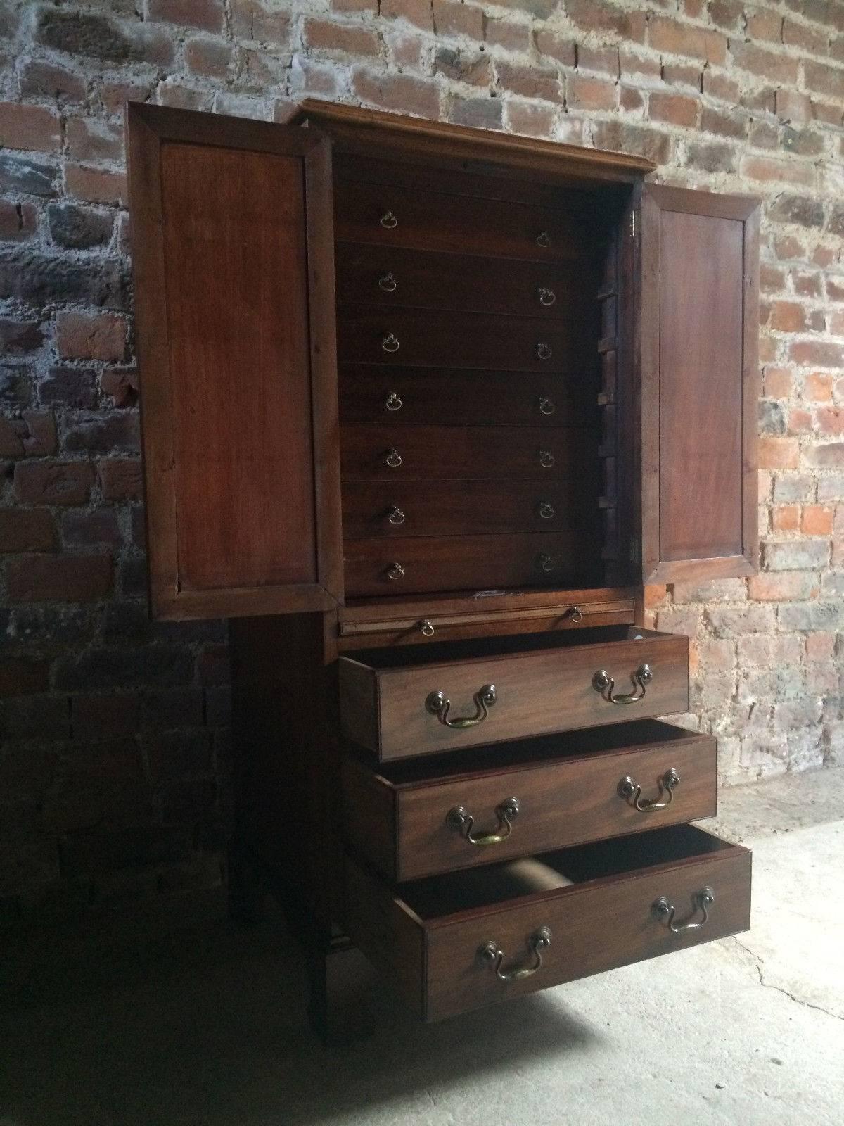 Antique Collectors Cabinet Chest Mahogany Victorian 19th Century, circa 1875 In Good Condition For Sale In Longdon, Tewkesbury