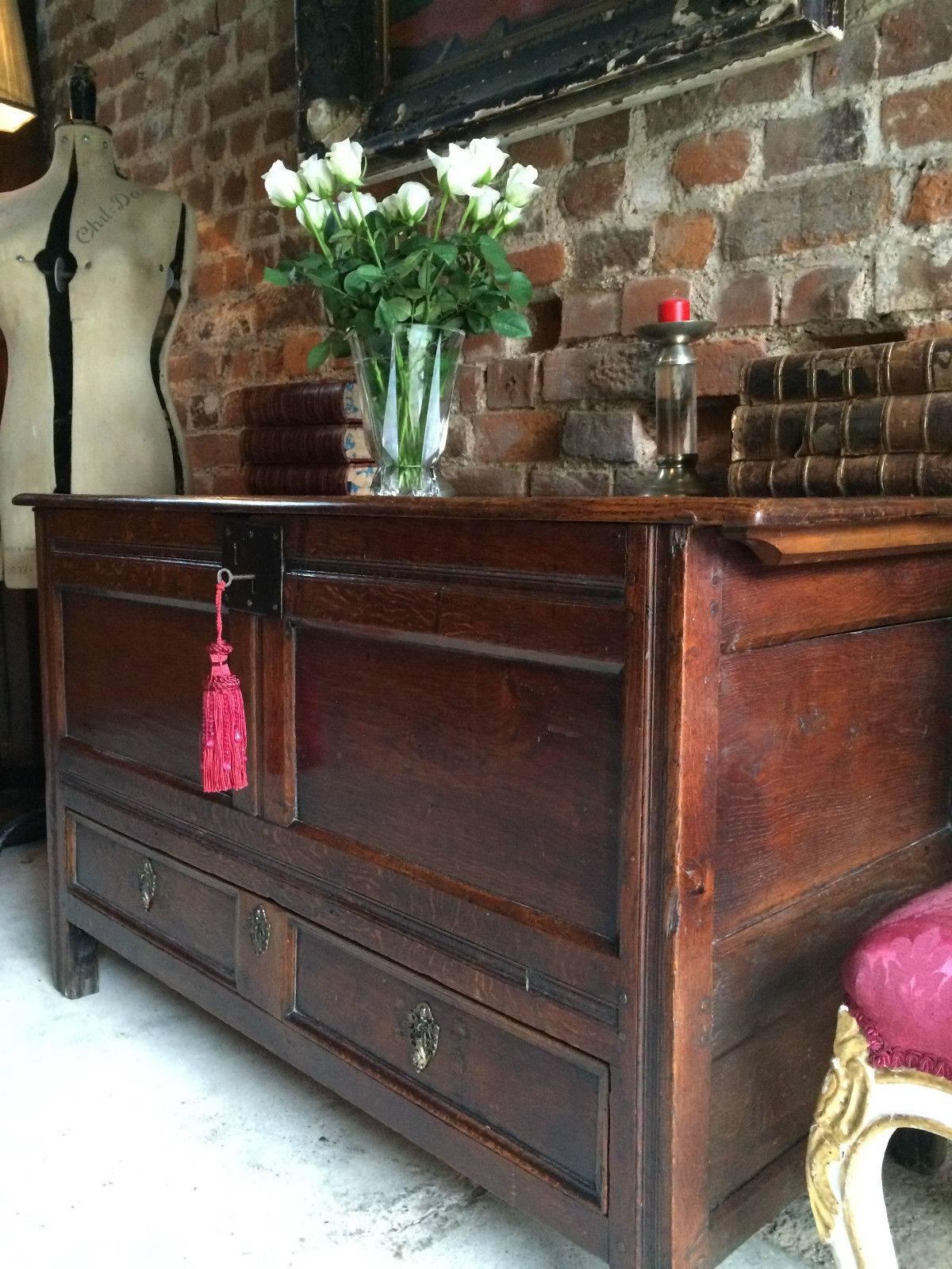 A large antique 18th century solid oak mule chest, the rectangular planked hinged top with opening to storage with small candle box, paneled front and long single drawer, raised on stile supports, comes with key and tassel (non working).