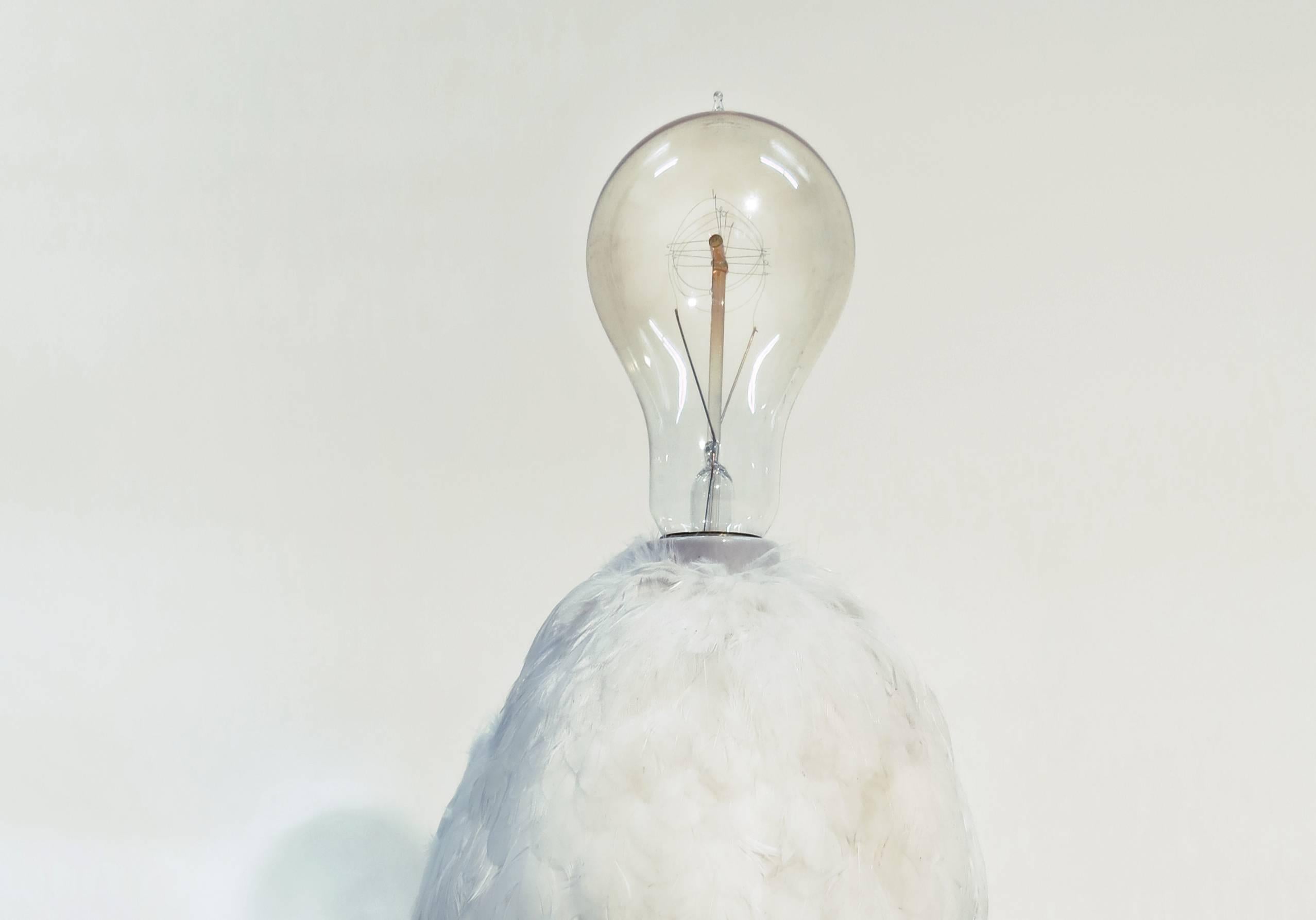 The chicken lamp continues Sebastian Errazuriz's series of functional sculptures with taxidermy. This piece is made of taxidermy chicken, electric components, a light bulb and plexiglass.

Chilean born, New York based artist and designer Sebastian