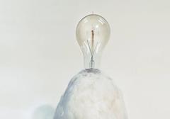 Chicken Lamp by Sebastian Errazuriz
