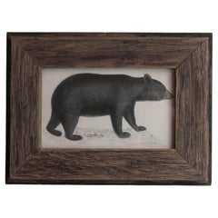 Original Antique Framed Print of a Black Bear, 1847