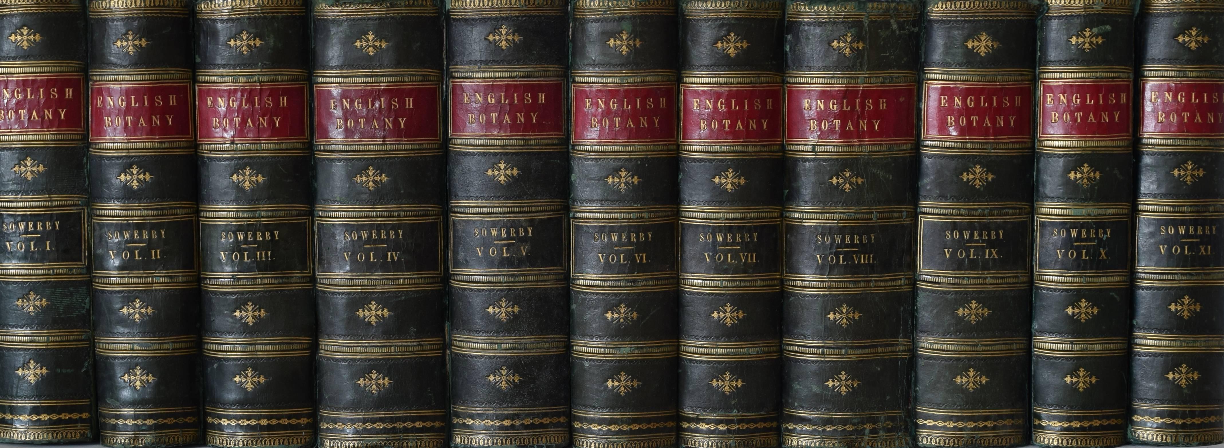 Gilt Long Set of Green Leather Faux Books, English, circa 1850
