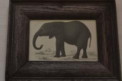 Original Antique Print of an Elephant, circa 1850