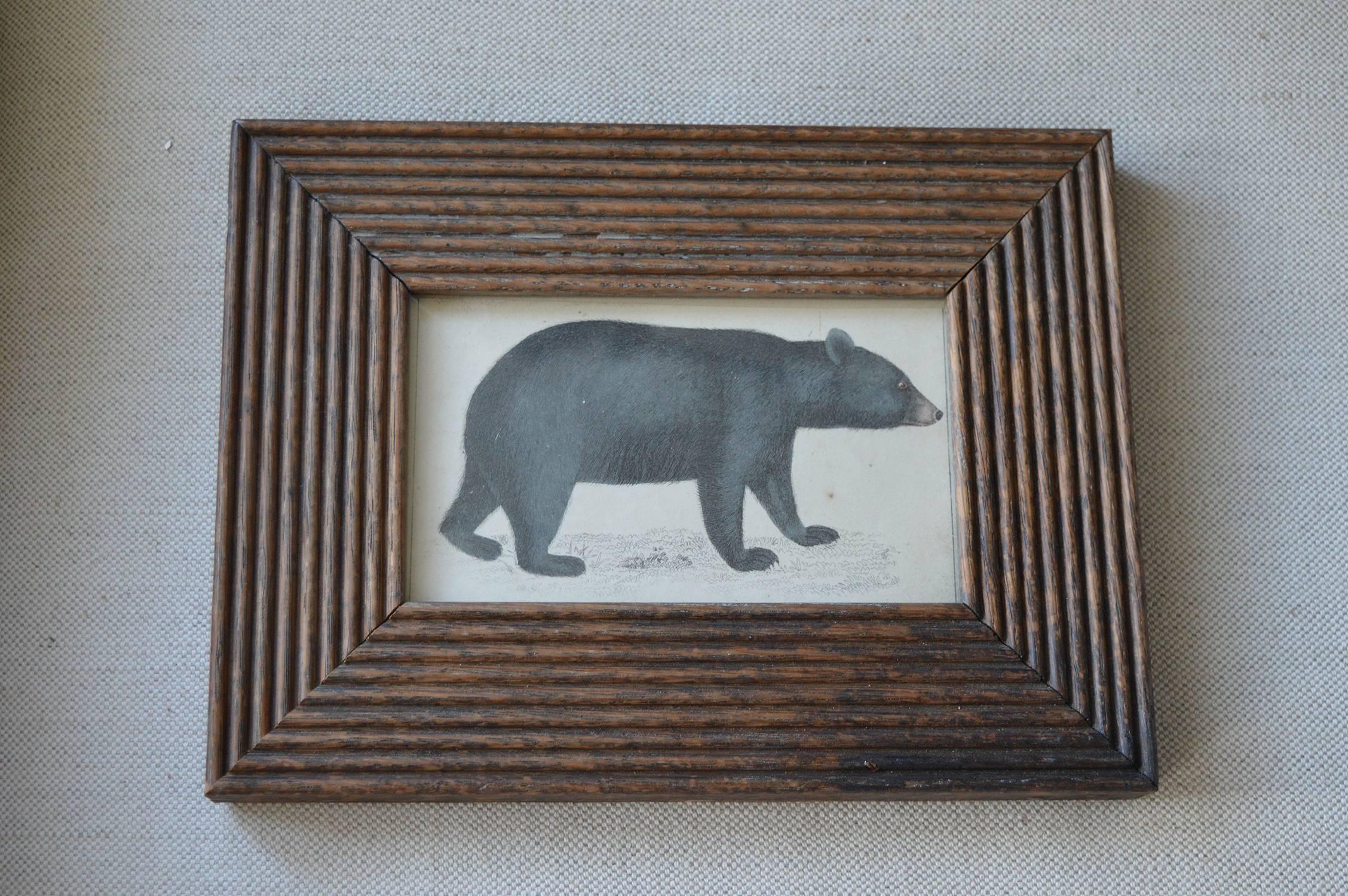 
Great image of black bear.

Hand-colored lithograph.

Original color.

Published by Fullarton, London and Edinburgh. 1847

Presented in an antique distressed oak frame.

The measurement given below is the frame size.

