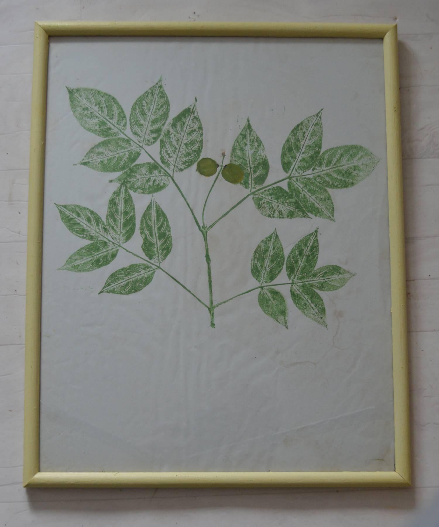 Great Britain (UK) Set of Six Naive Botanical Prints 'Leaves', circa 1830