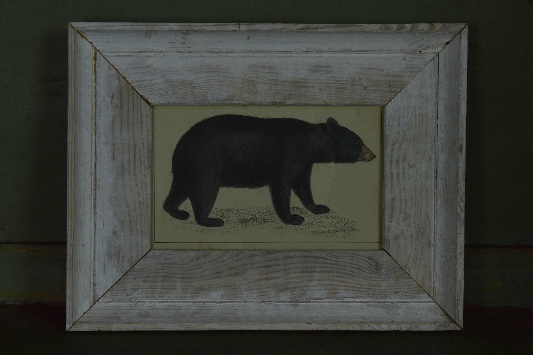 Folk Art Original Antique Print of a Bear, circa 1850